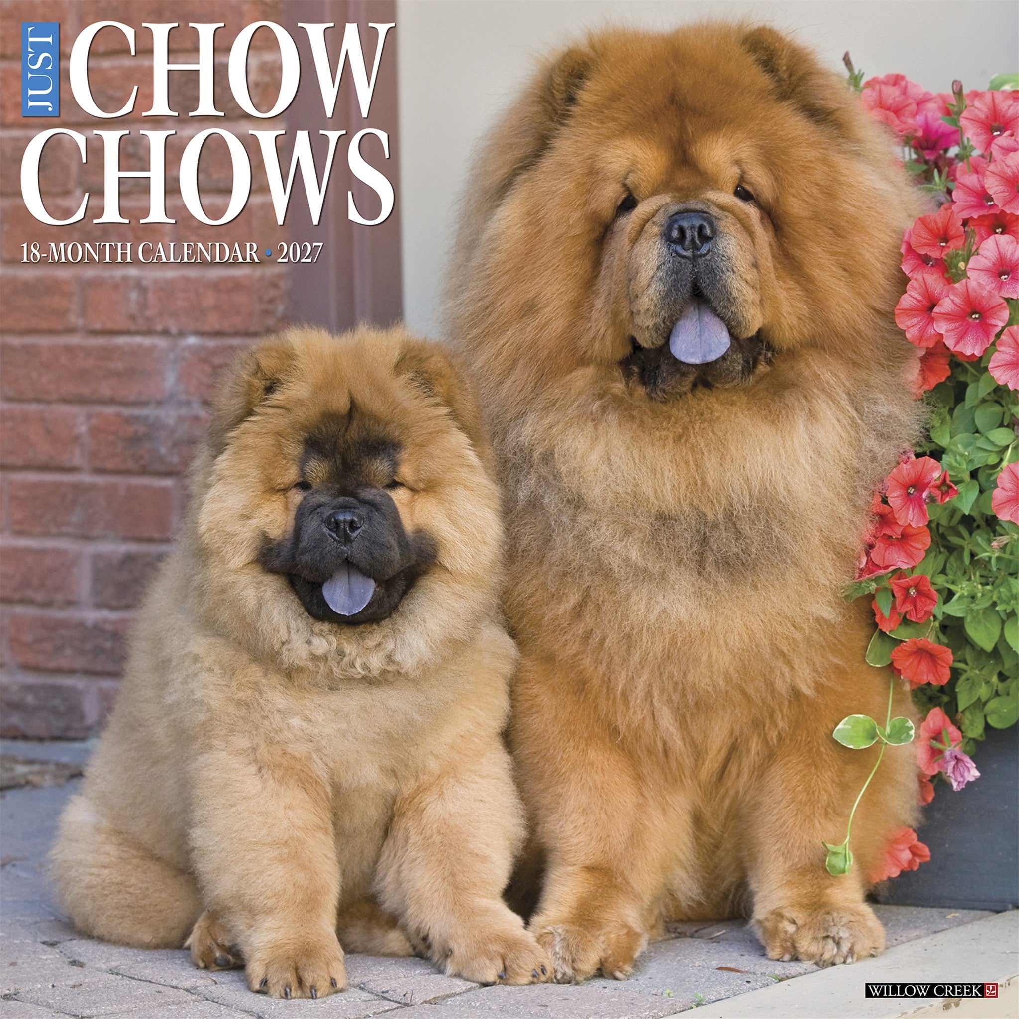 Chow Chows 2027 Wall Calendar