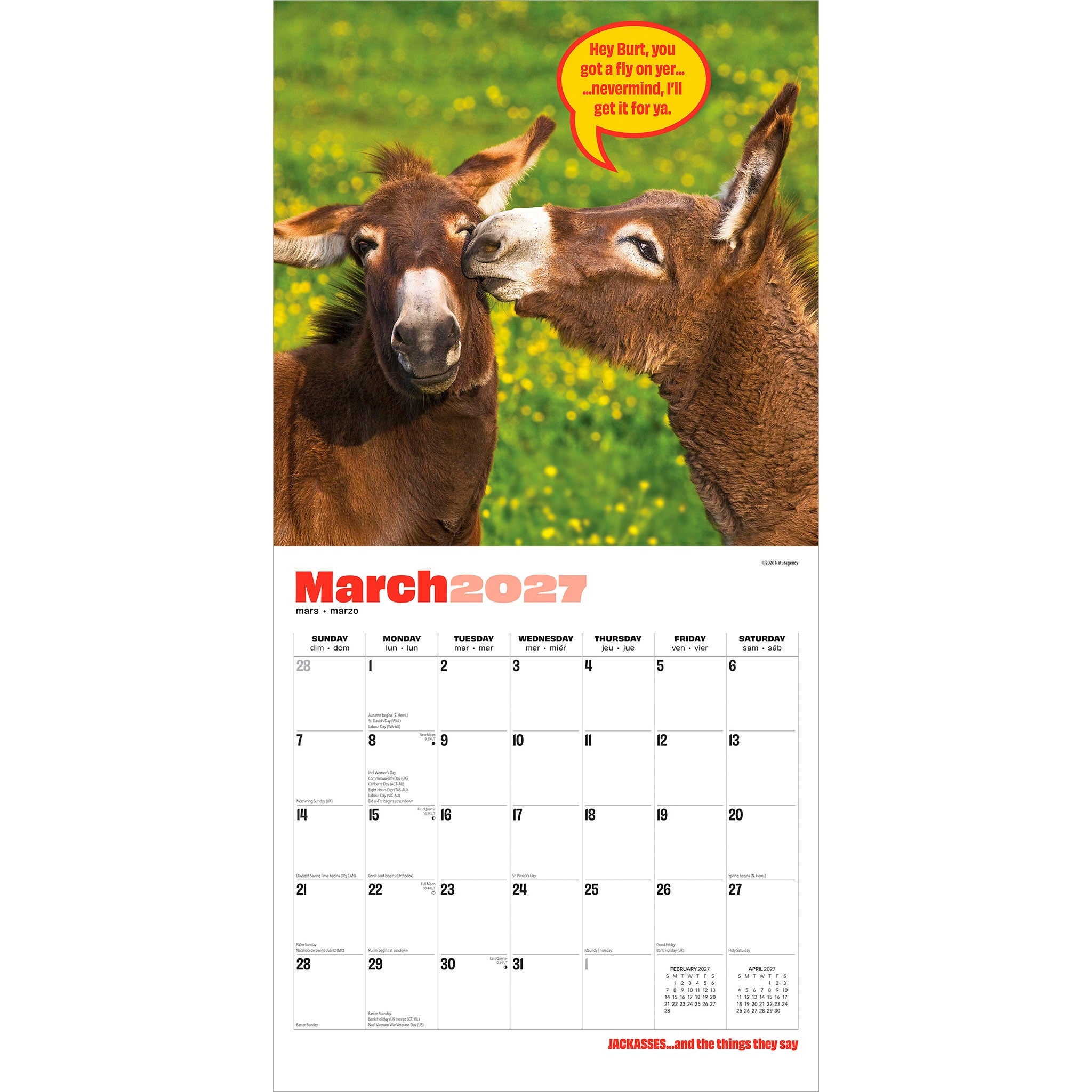 Jackasses 2027 Wall Calendar