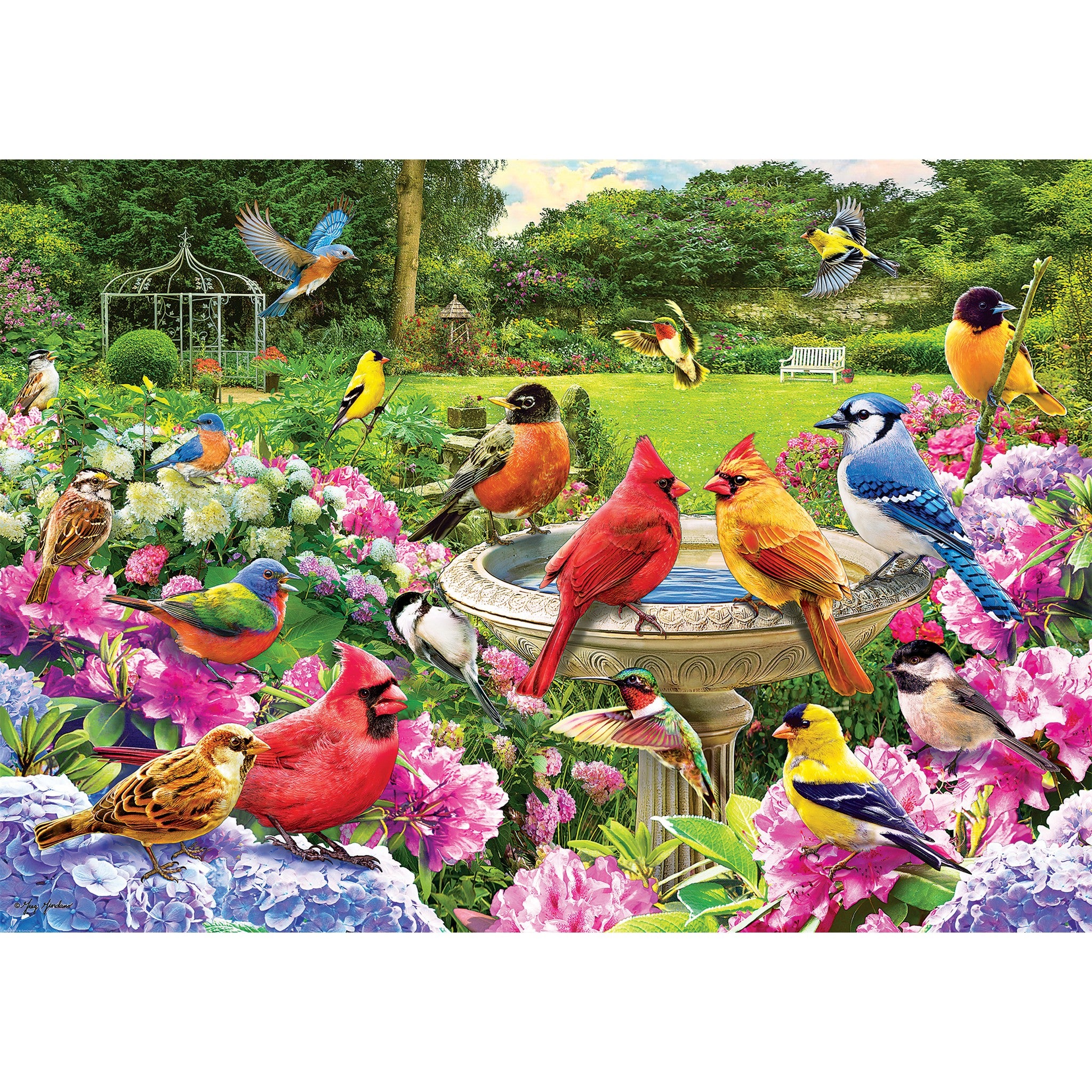 Bird Gathering 2000 Piece Puzzle
