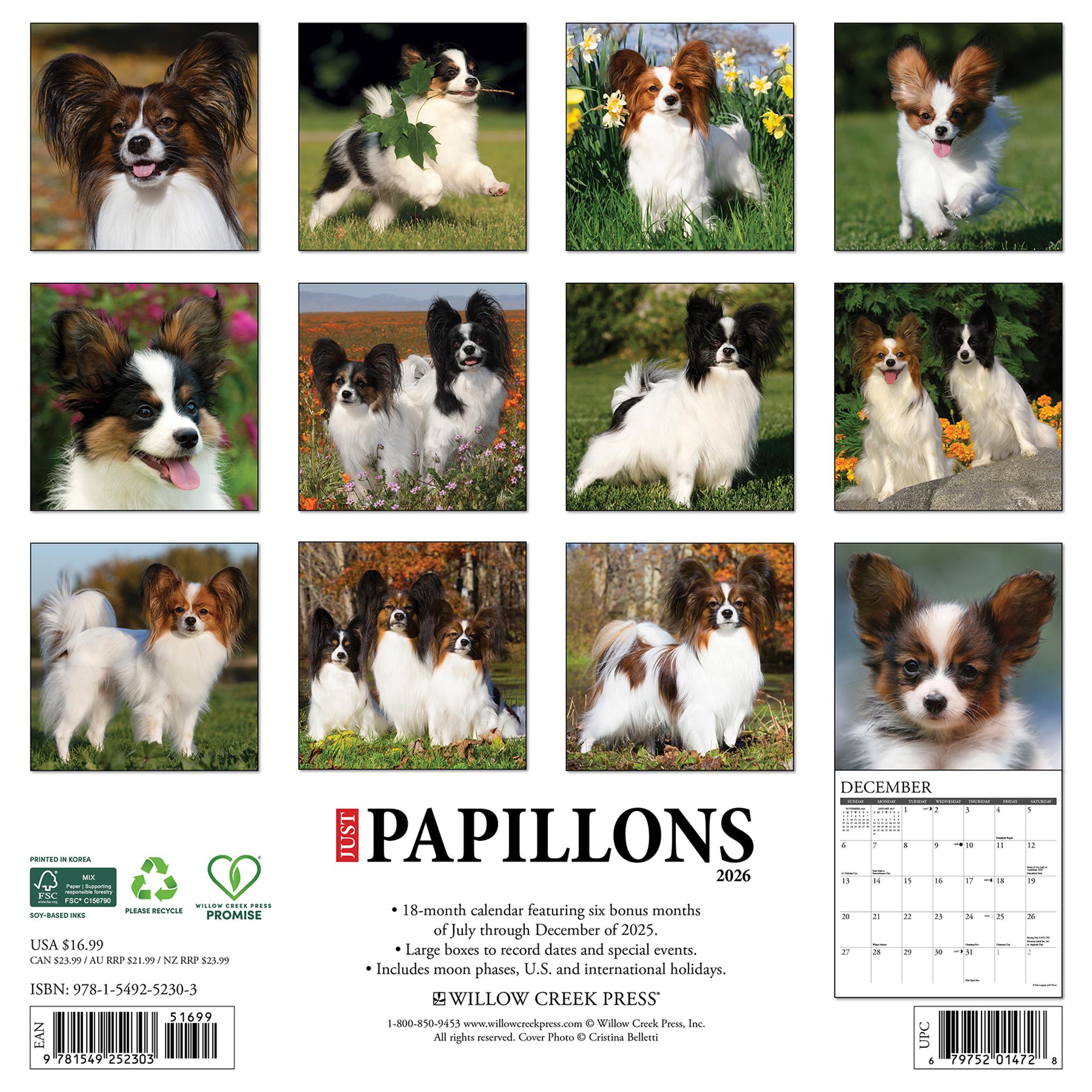Just Papillons 2026 Wall Calendar