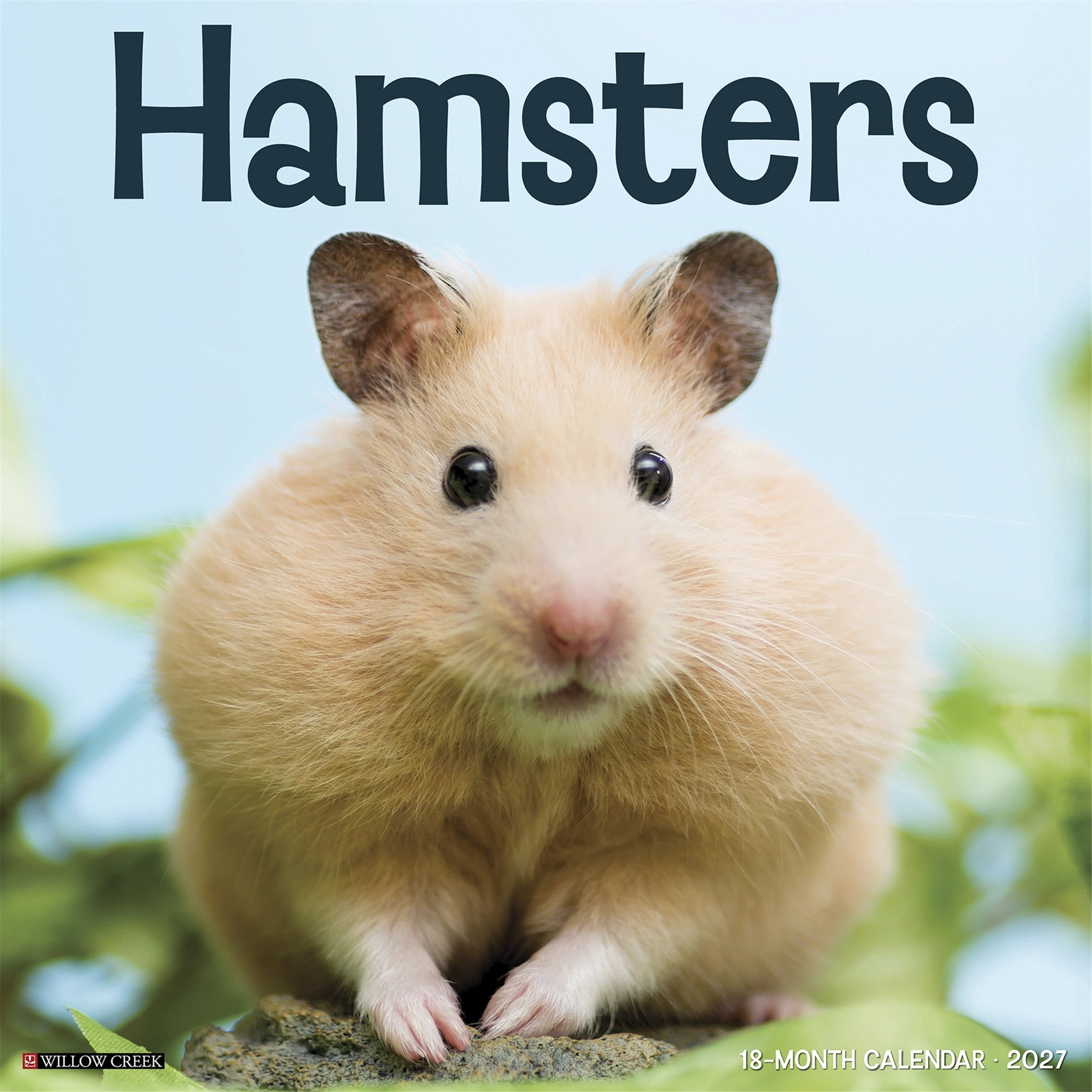 Hamsters 2027 Wall Calendar