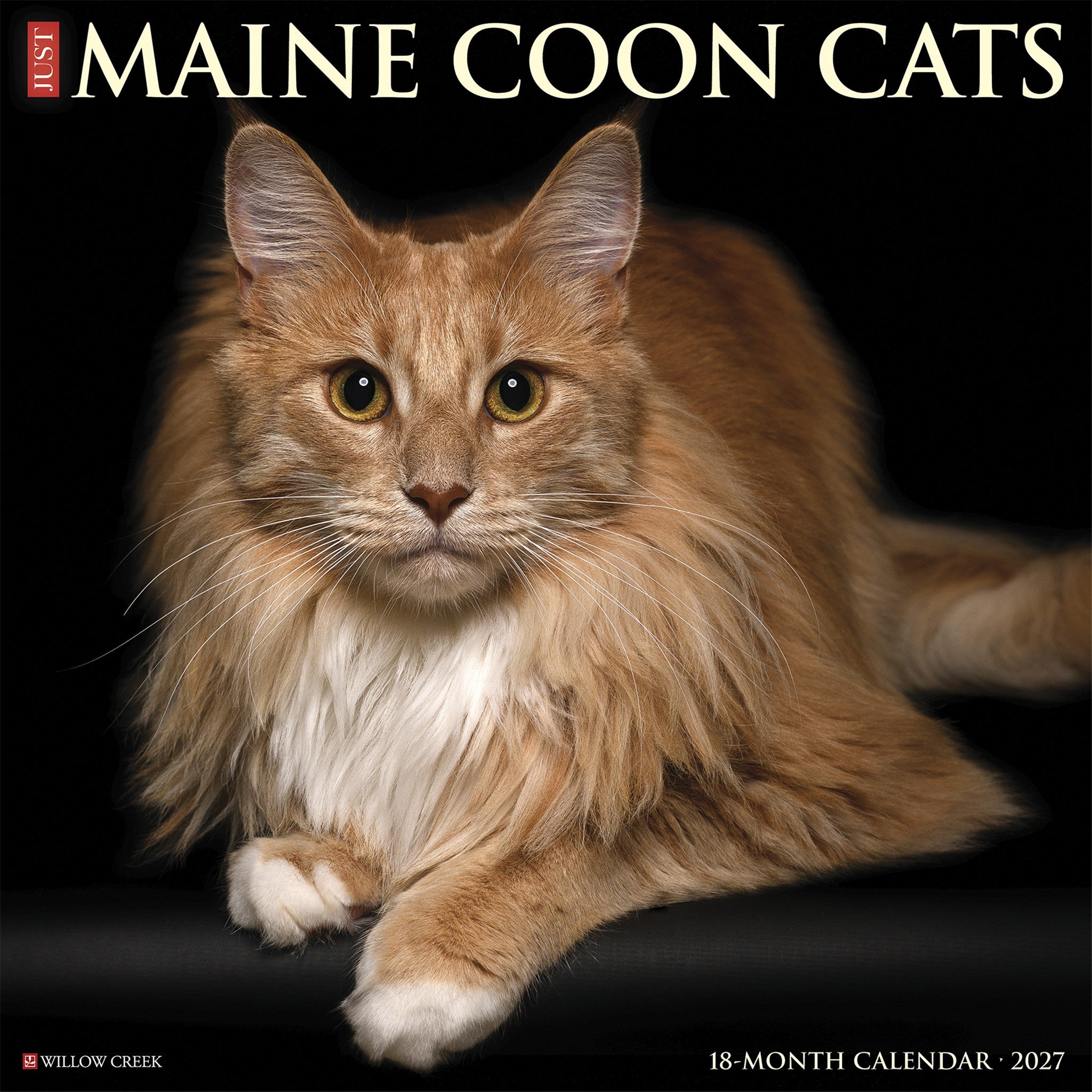 Maine Coon Cats 2027 Wall Calendar
