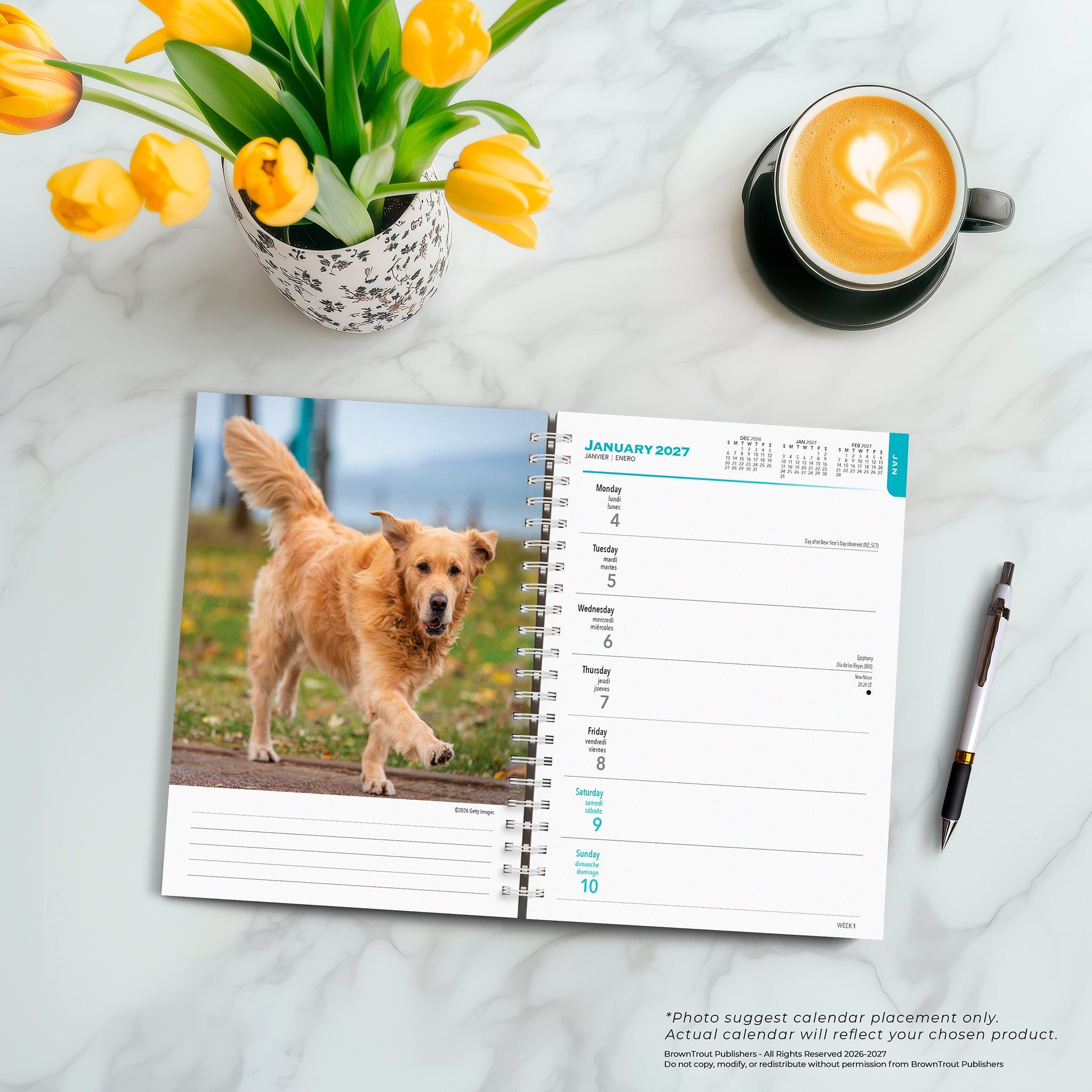 Golden Retrievers 2027 Engagement Calendar - Online Only