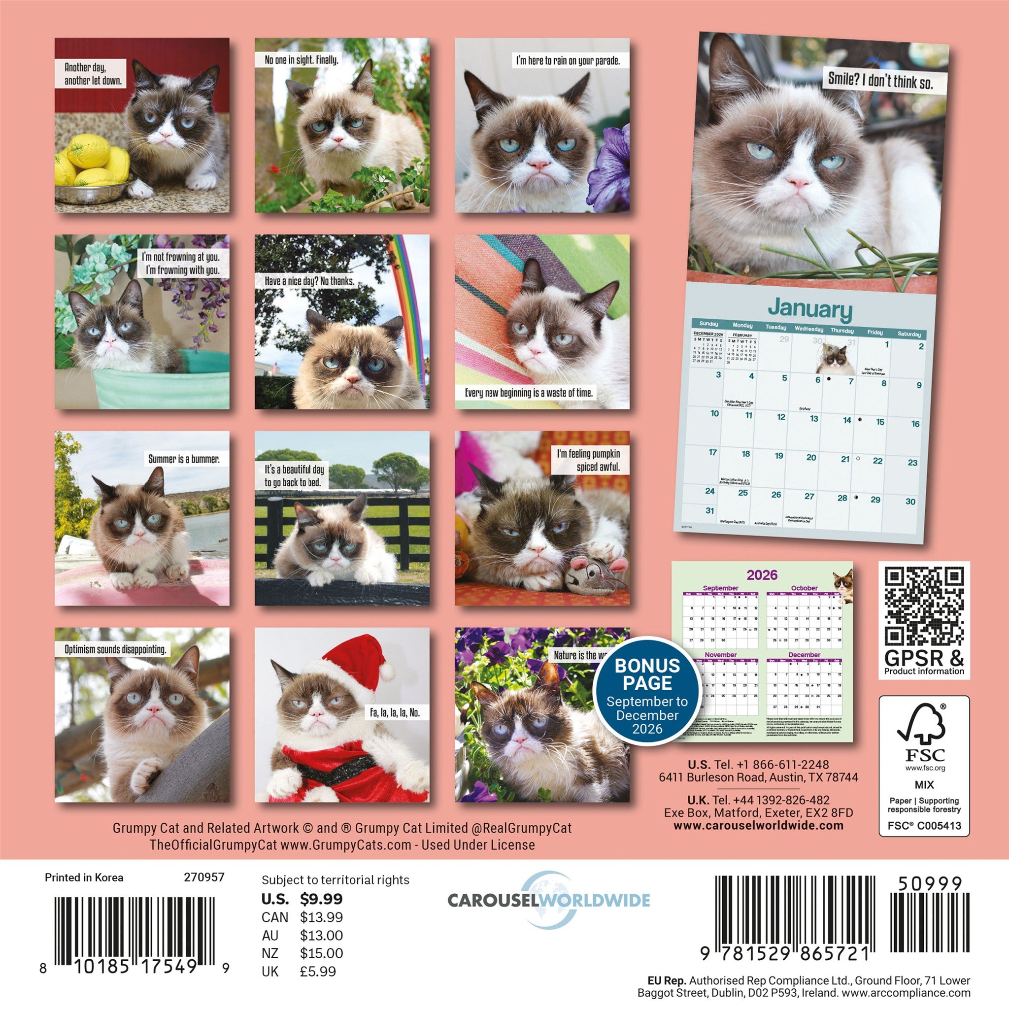 Grumpy Cat 2027 Mini Calendar