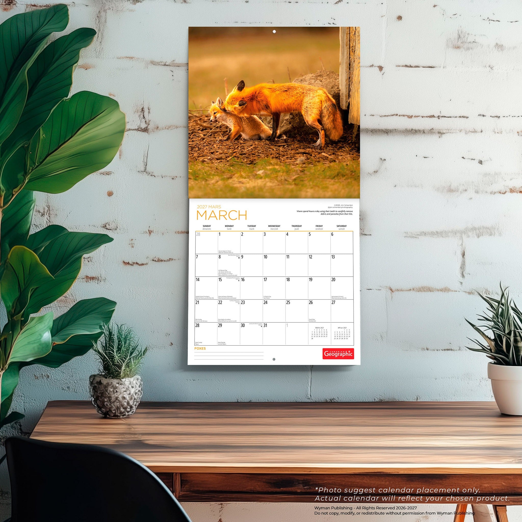 Canadian Geographic Foxes 2027 Wall Calendar - Online Only