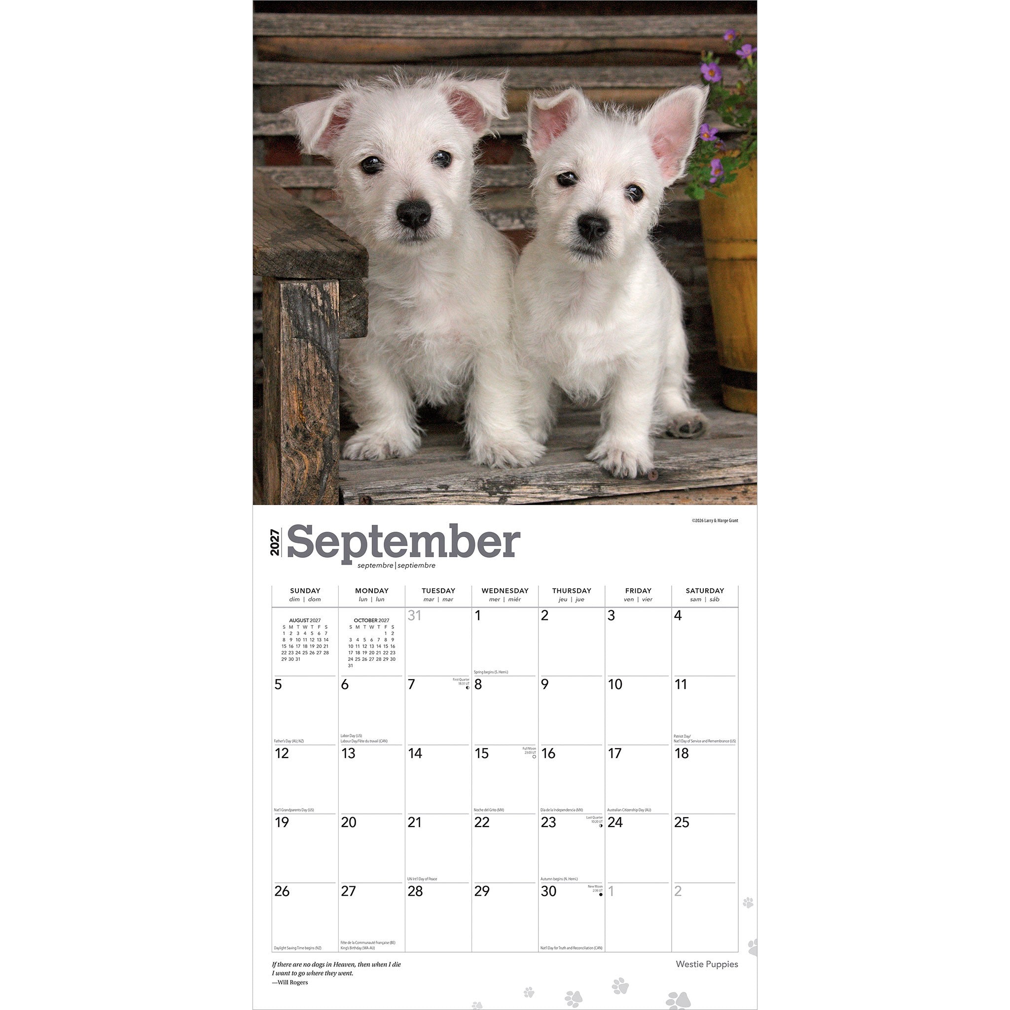 West Highland White Terrier Puppies 2027 Wall Calendar