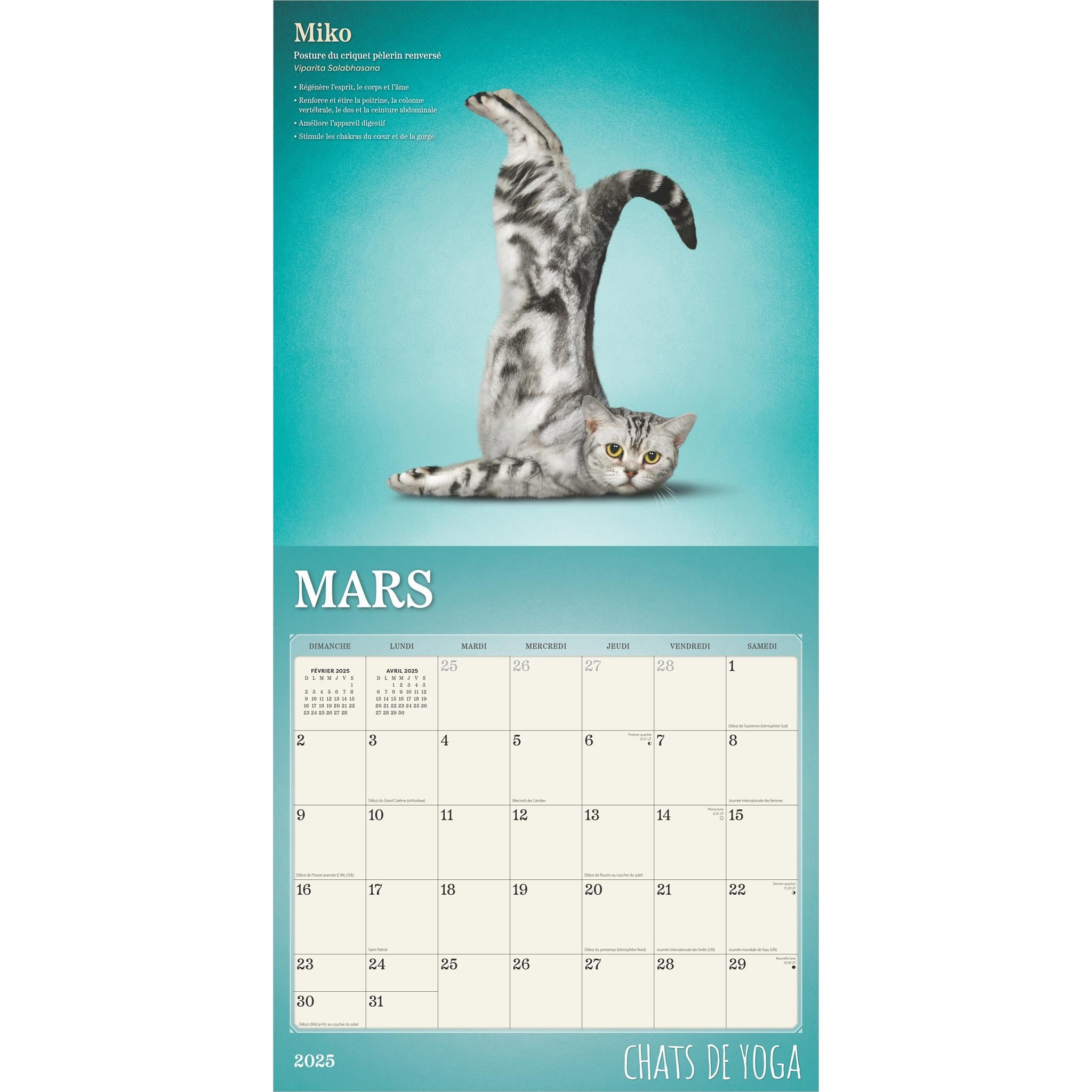 Chats De Yoga Wall 2025 Calendar (French)