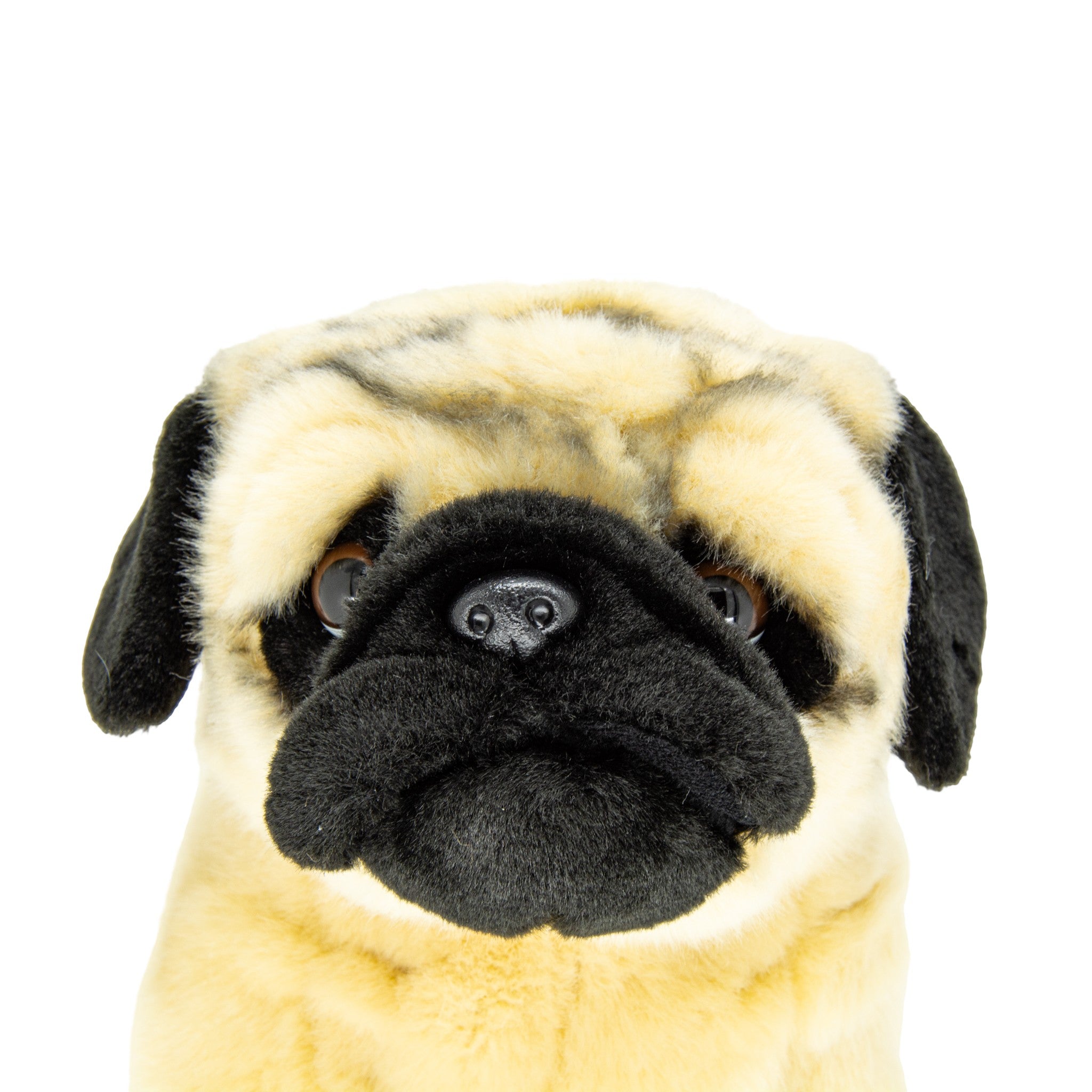 Pug 10 in Plush