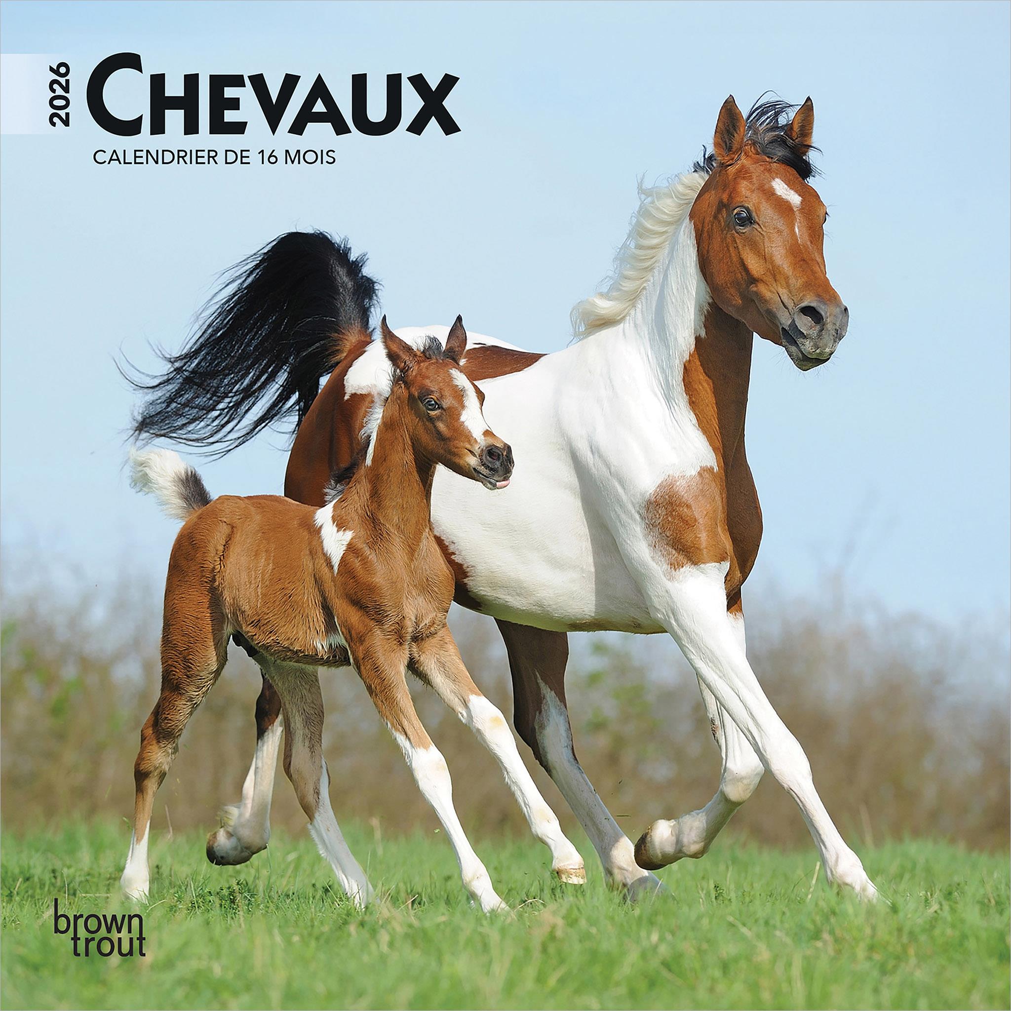 Chevaux 2026 Mini Calendar (French)