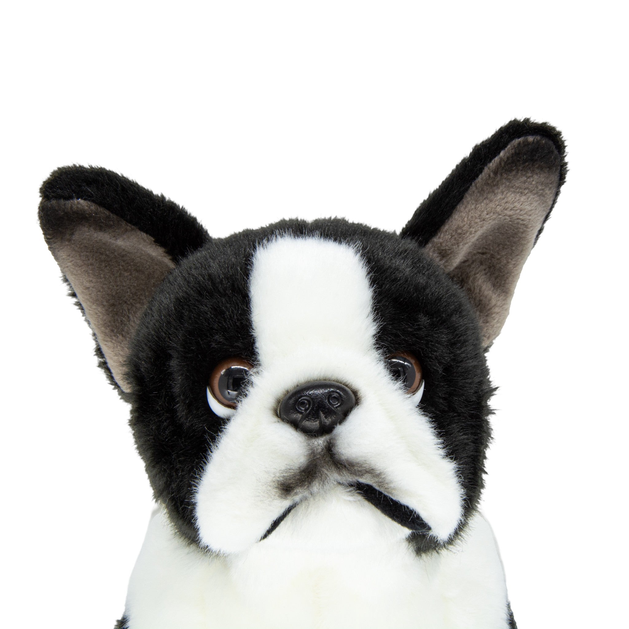 French Bulldog 10in Plush - Calendar Club Canada
