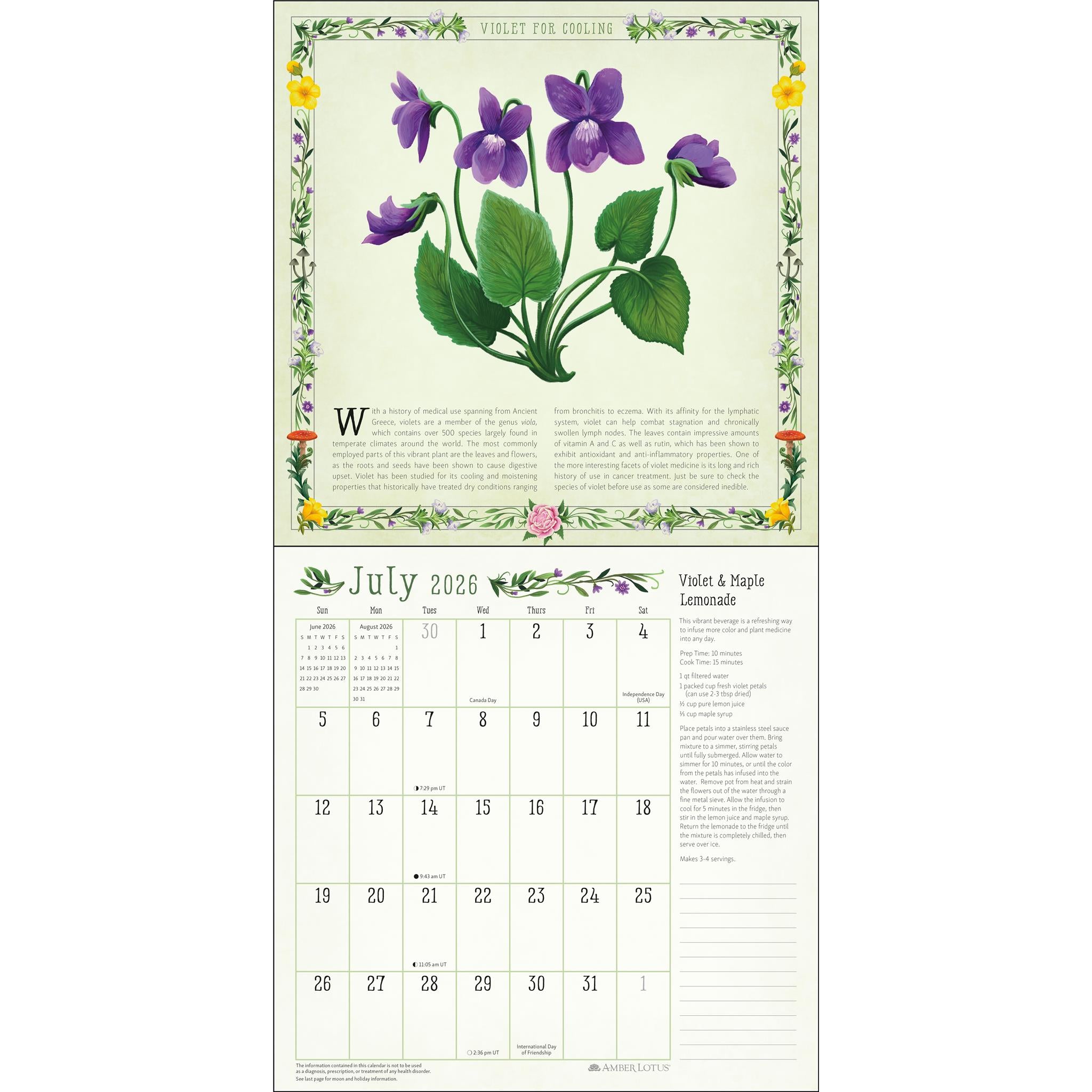 Kitchen Witch 2026 Wall Calendar - Online Exclusive
