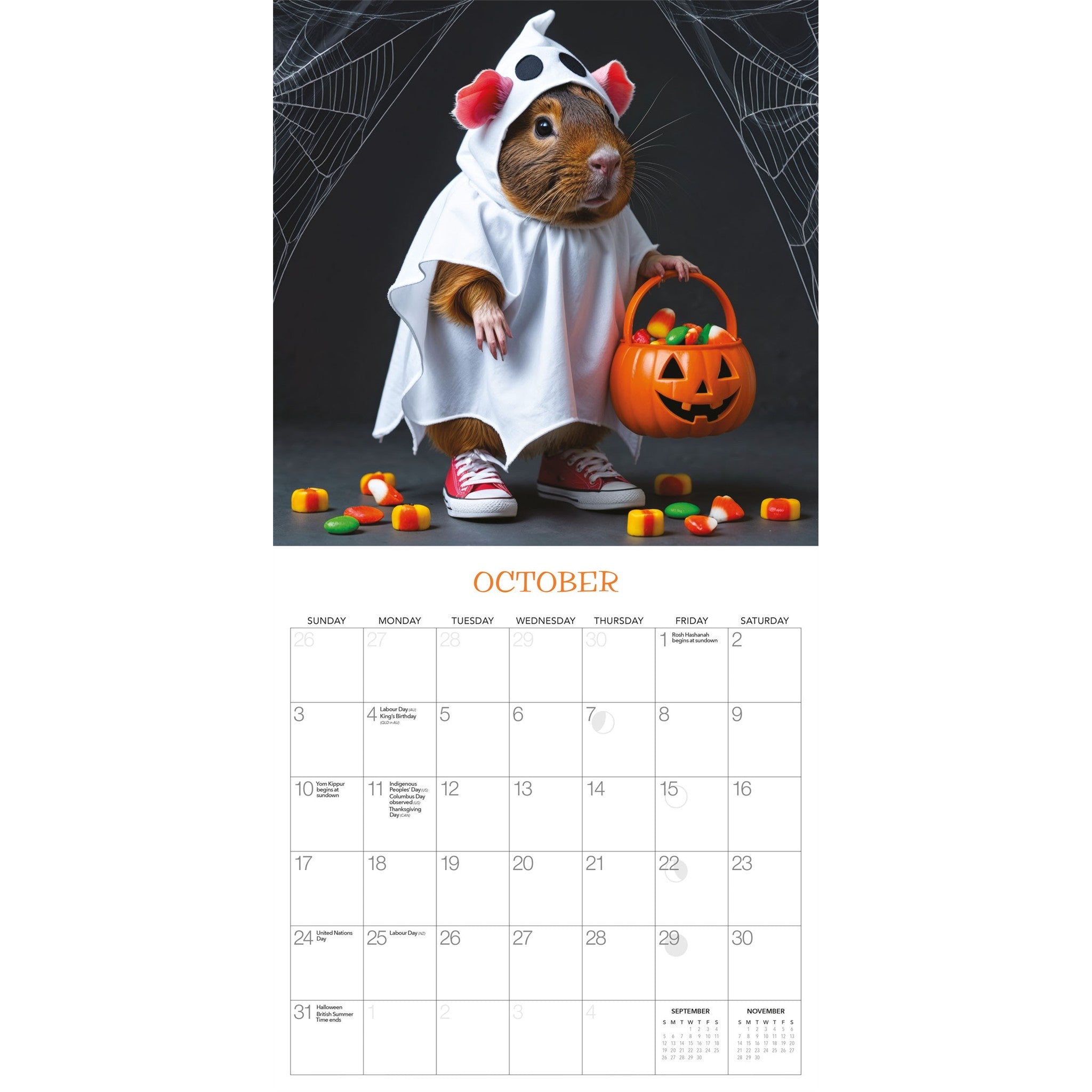 Guinea Pigs Rule! 2027 Wall Calendar