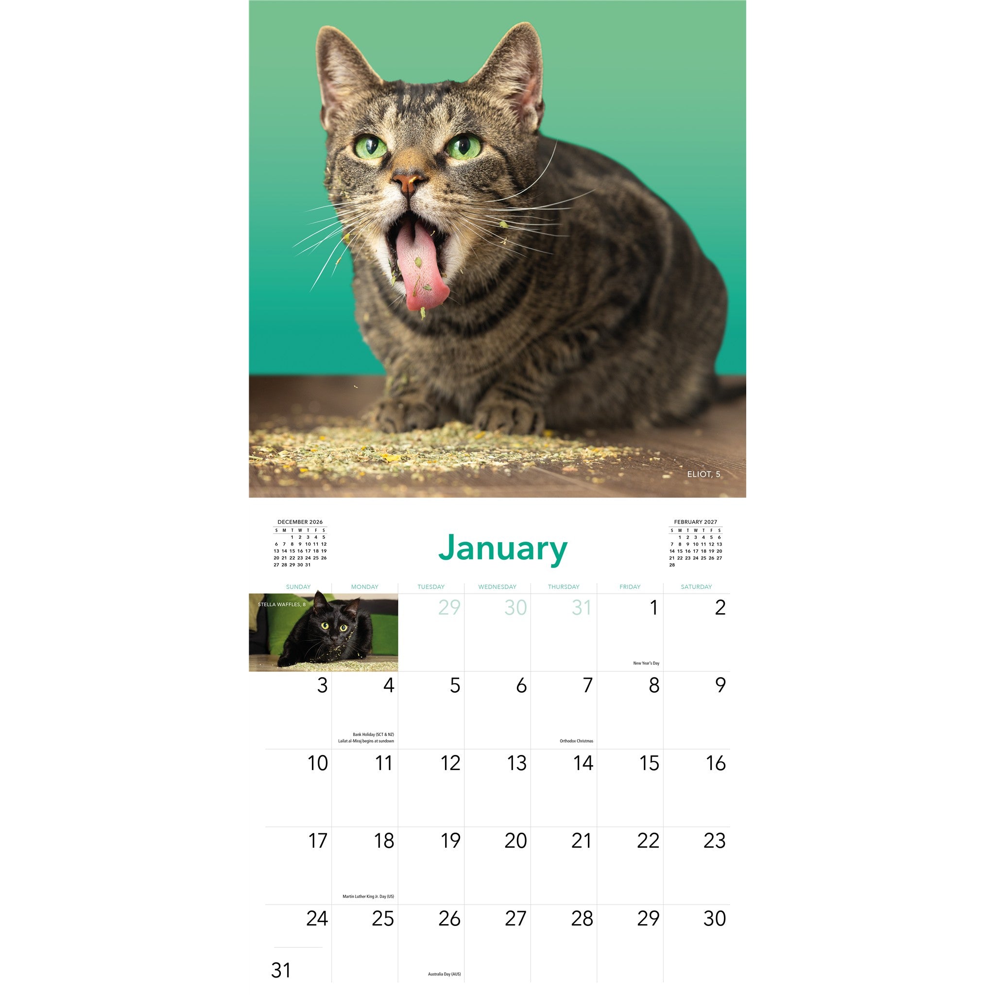 Cats on Catnip 2027 Wall Calendar