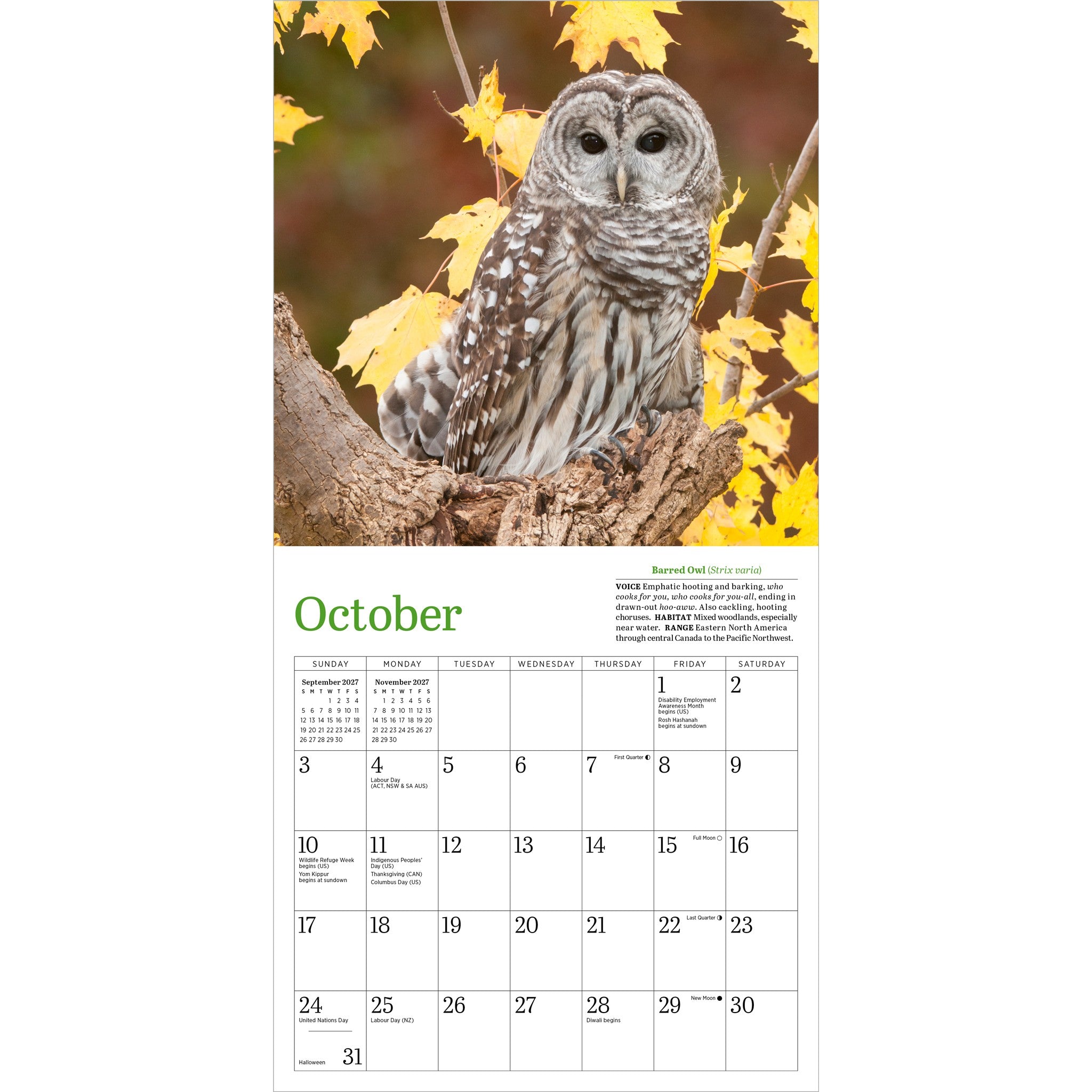 Audubon Little Owls 2027 Mini Calendar - Online Only