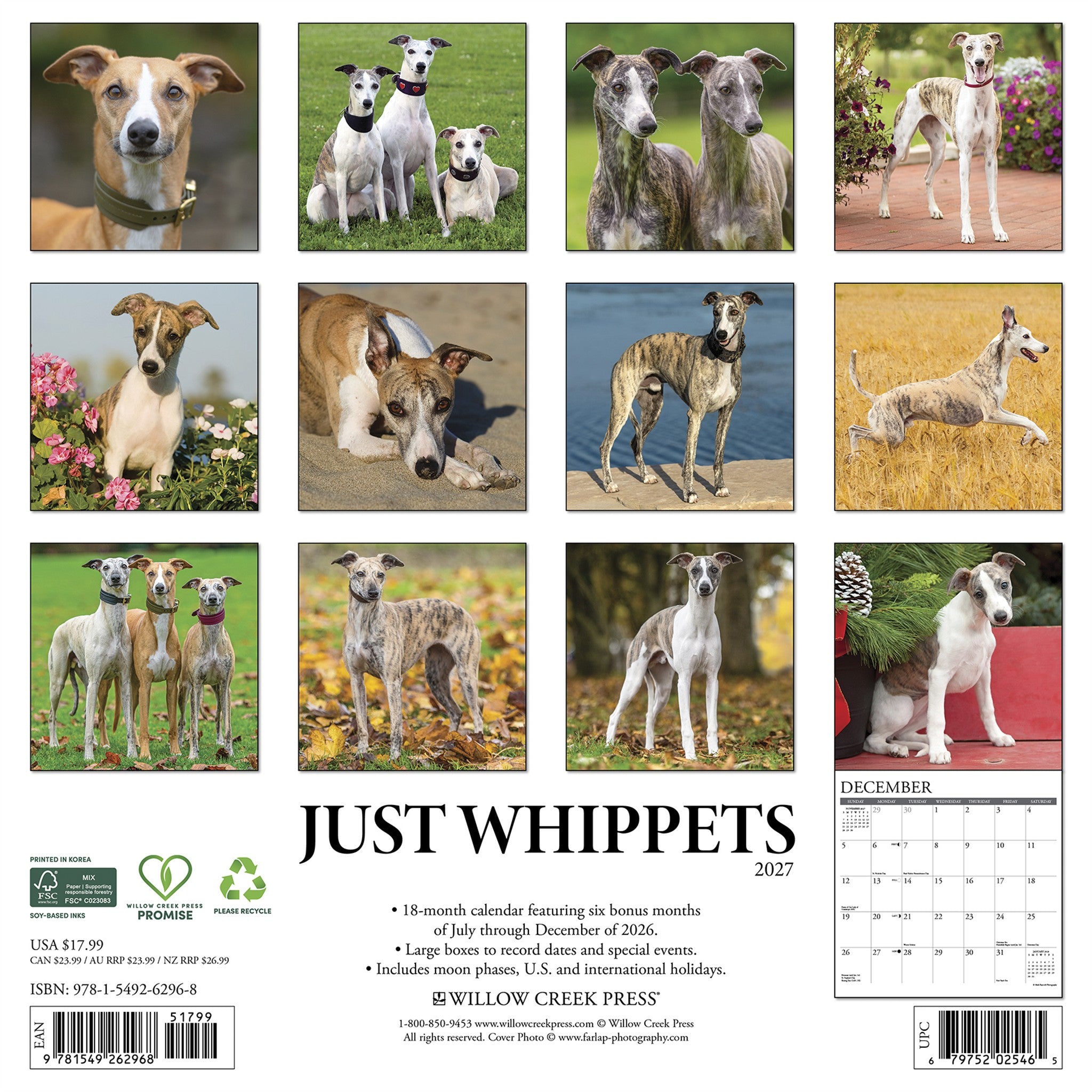 Whippets 2027 Wall Calendar