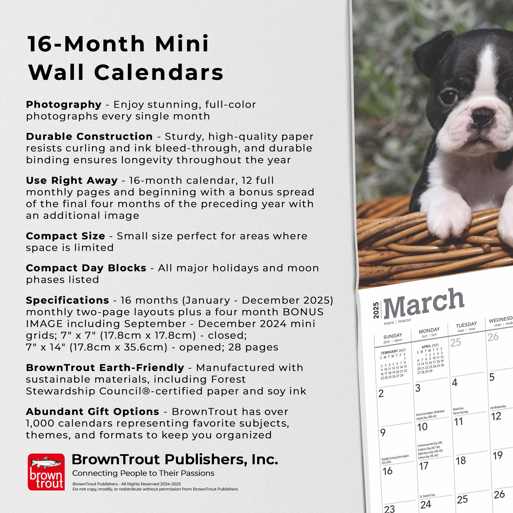 Boston Terrier Puppies Mini 2025 Calendar