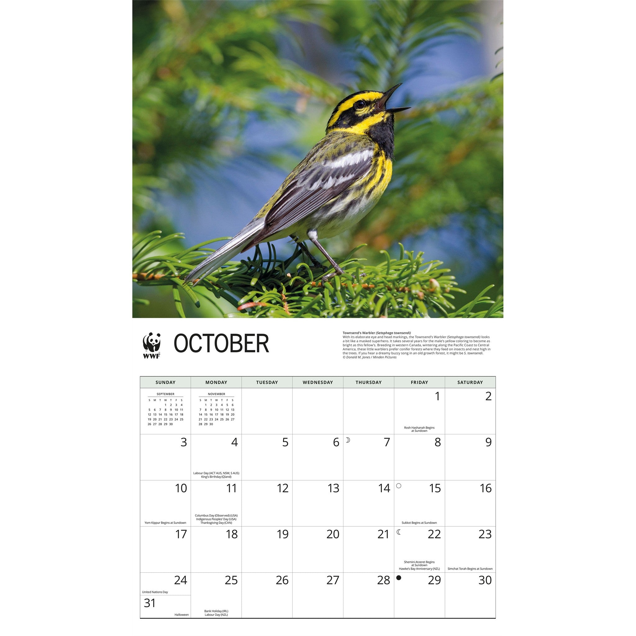 World Wildlife Fund Songbirds 2027 Wall Calendar