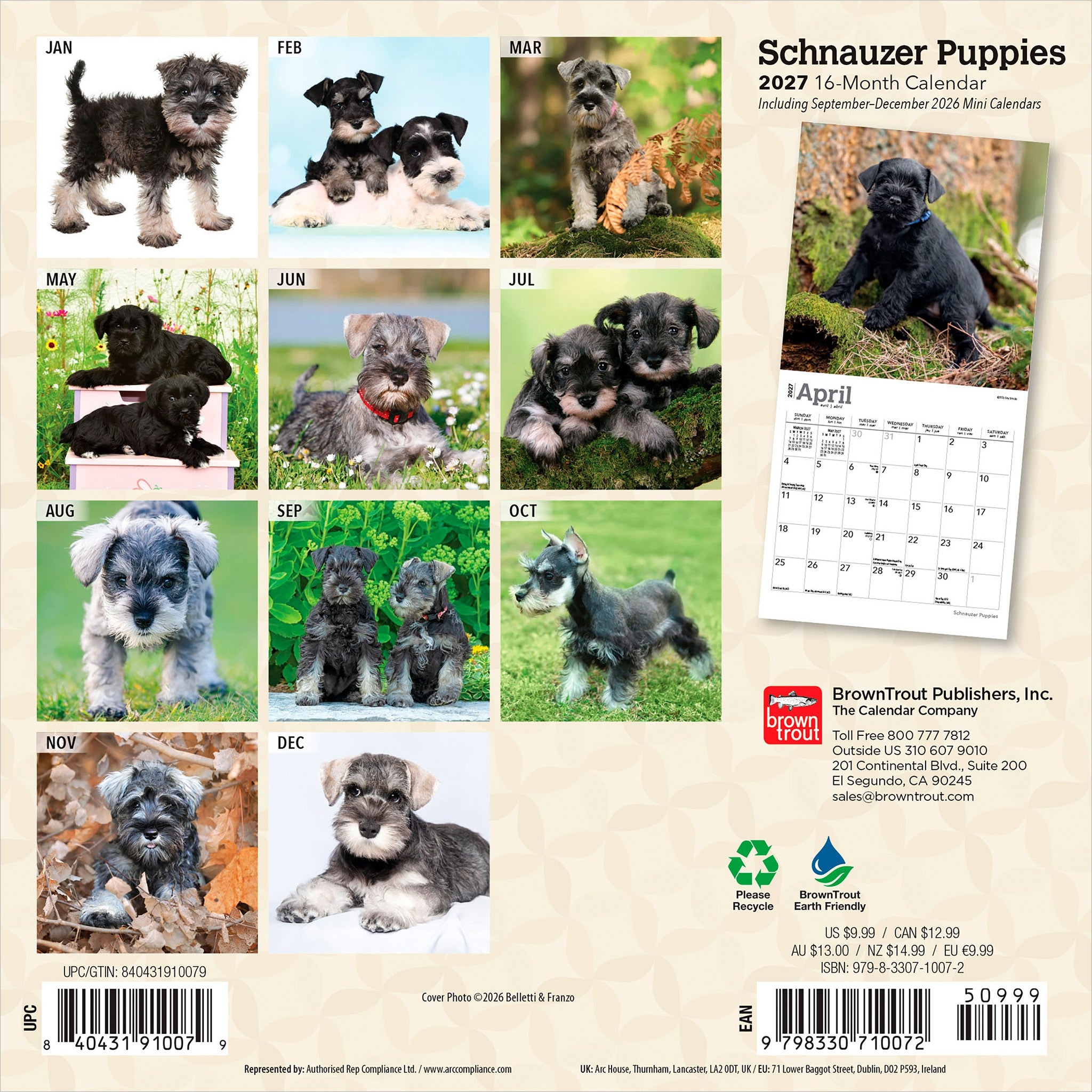 Schnauzer Puppies 2027 Mini Calendar