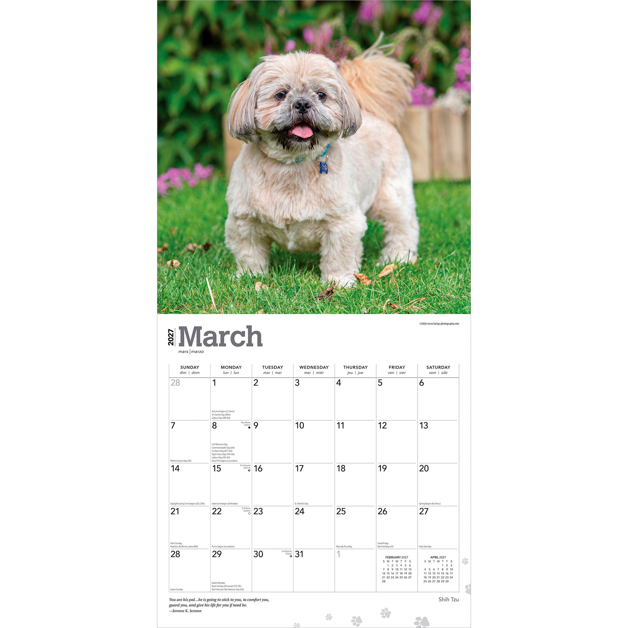Shih Tzu 2027 Wall Calendar
