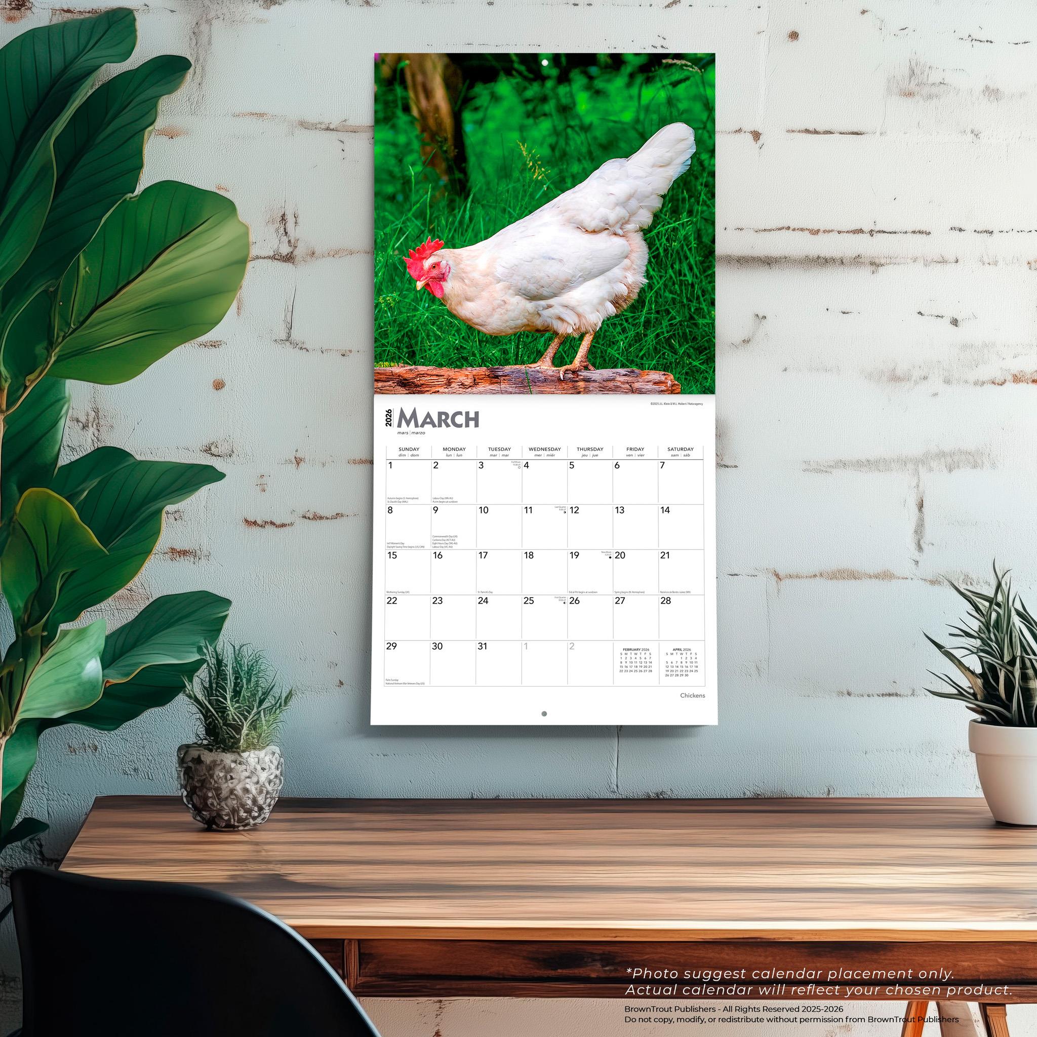 Chickens 2026 Wall Calendar - Online Only