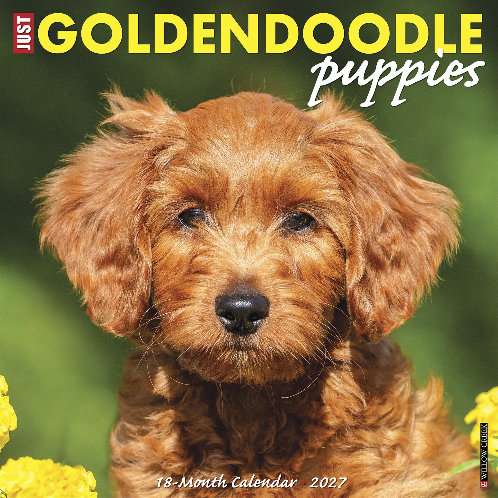 Goldendoodle Puppies 2027 Wall Calendar
