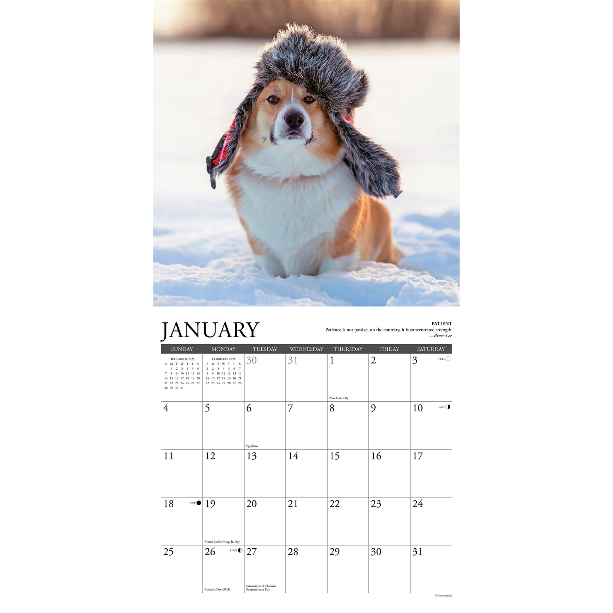 Corgi Rules 2026 Wall Calendar - Online Only