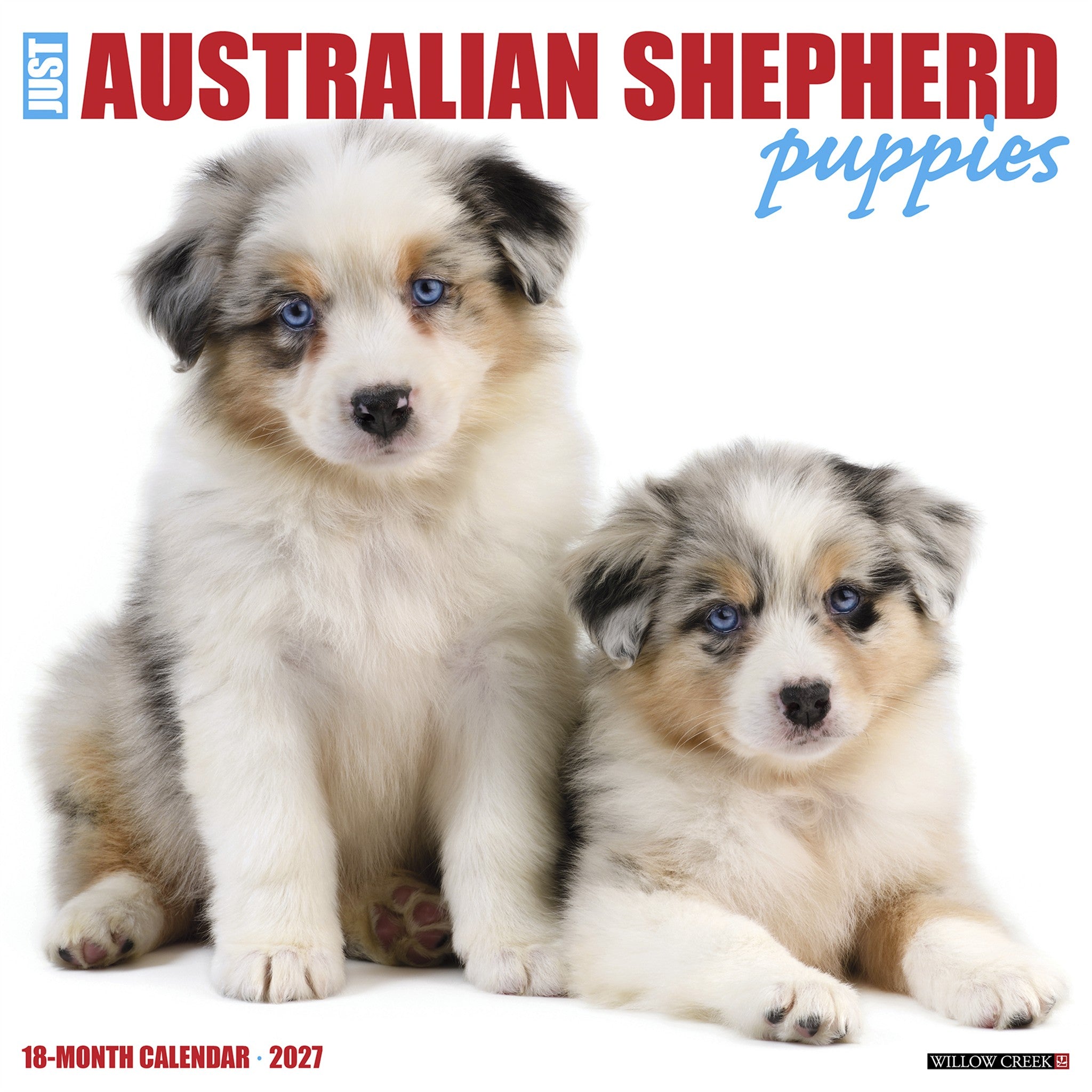 Australian Shepherd Puppies 2027 Wall Calendar