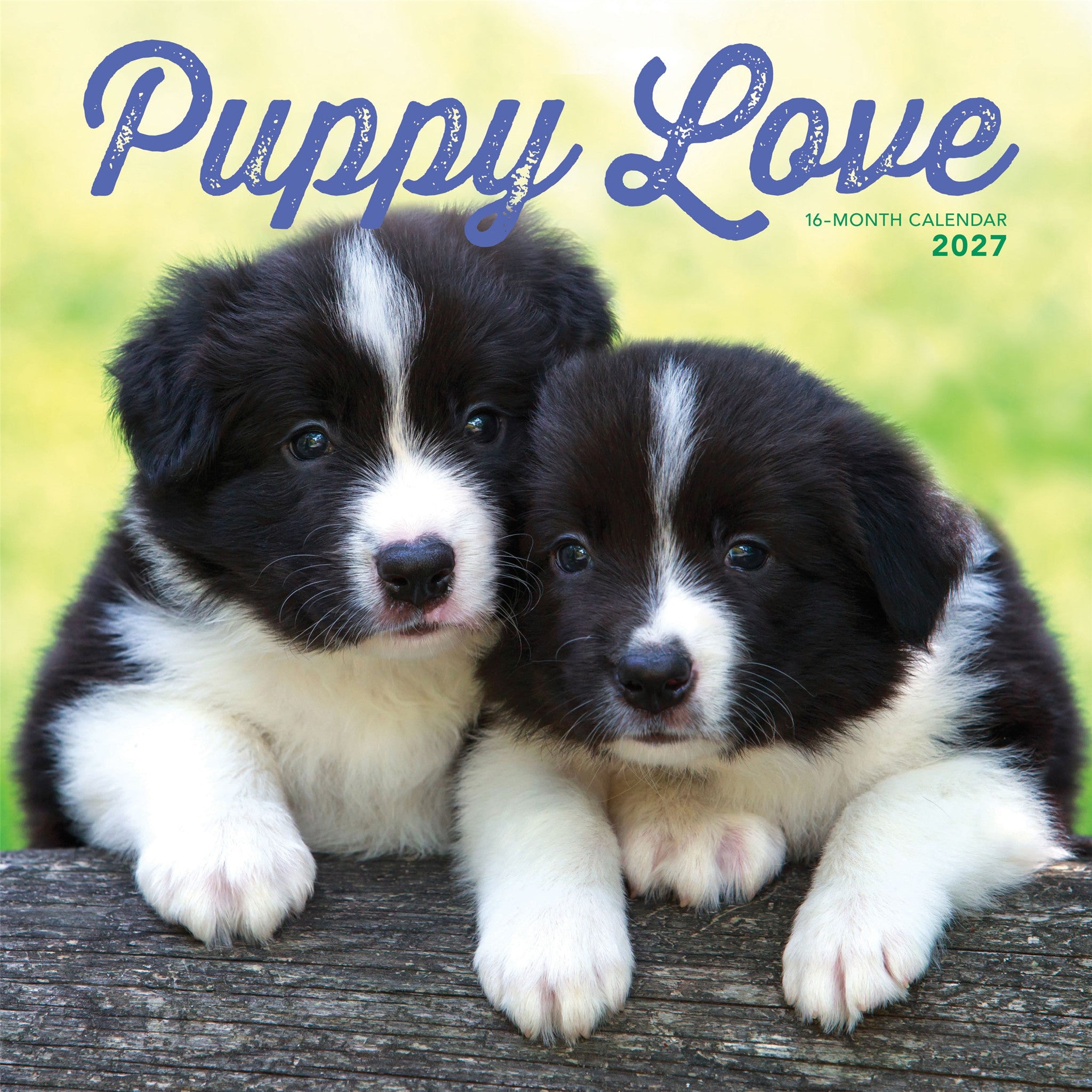 Puppy Love 2027 Wall Calendar