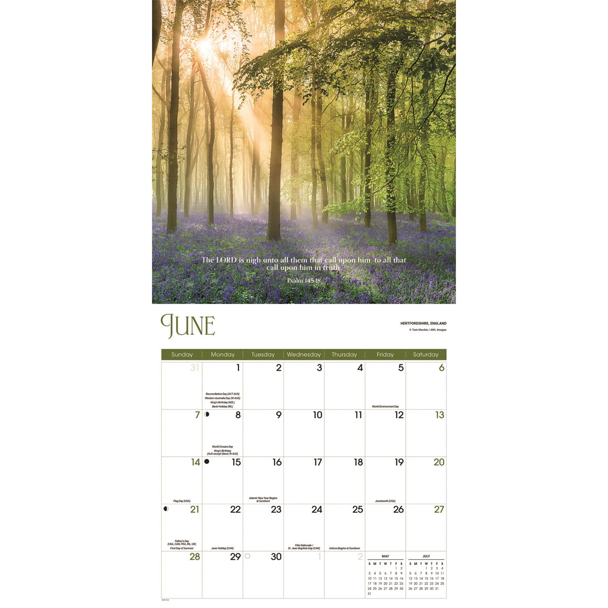 Psalms 2026 Wall Calendar