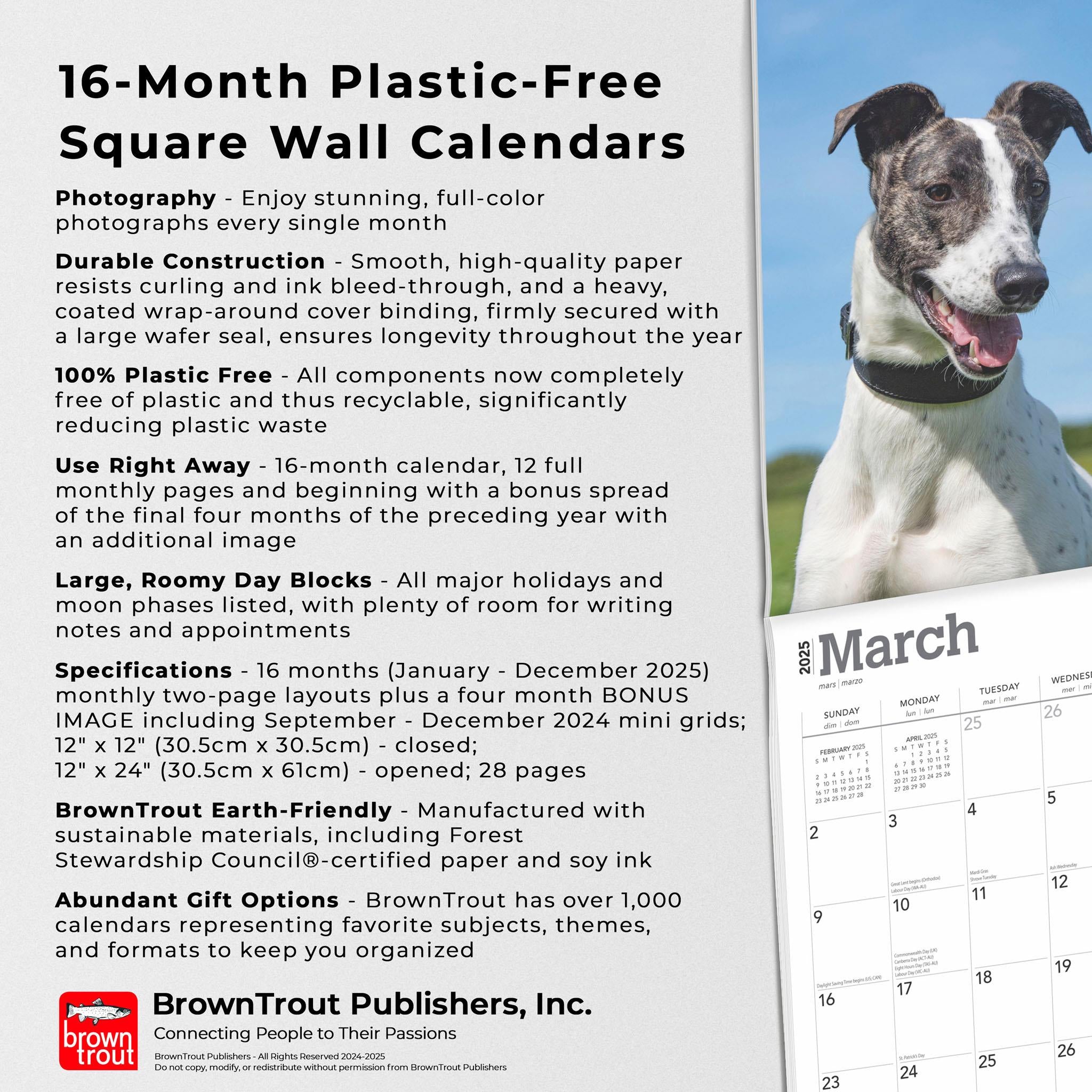Greyhounds Wall 2025 Calendar
