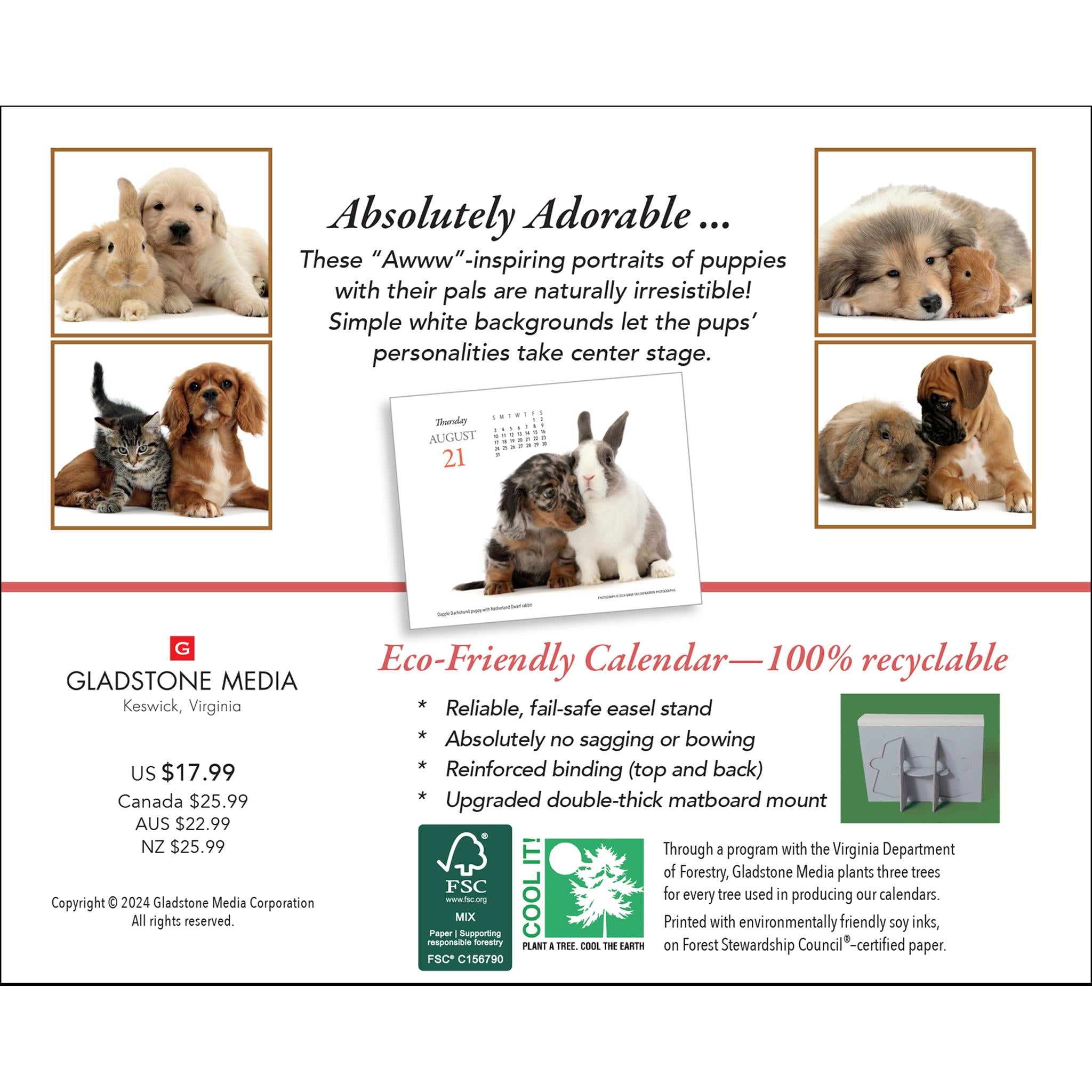 Puppies And Friends Box 2025