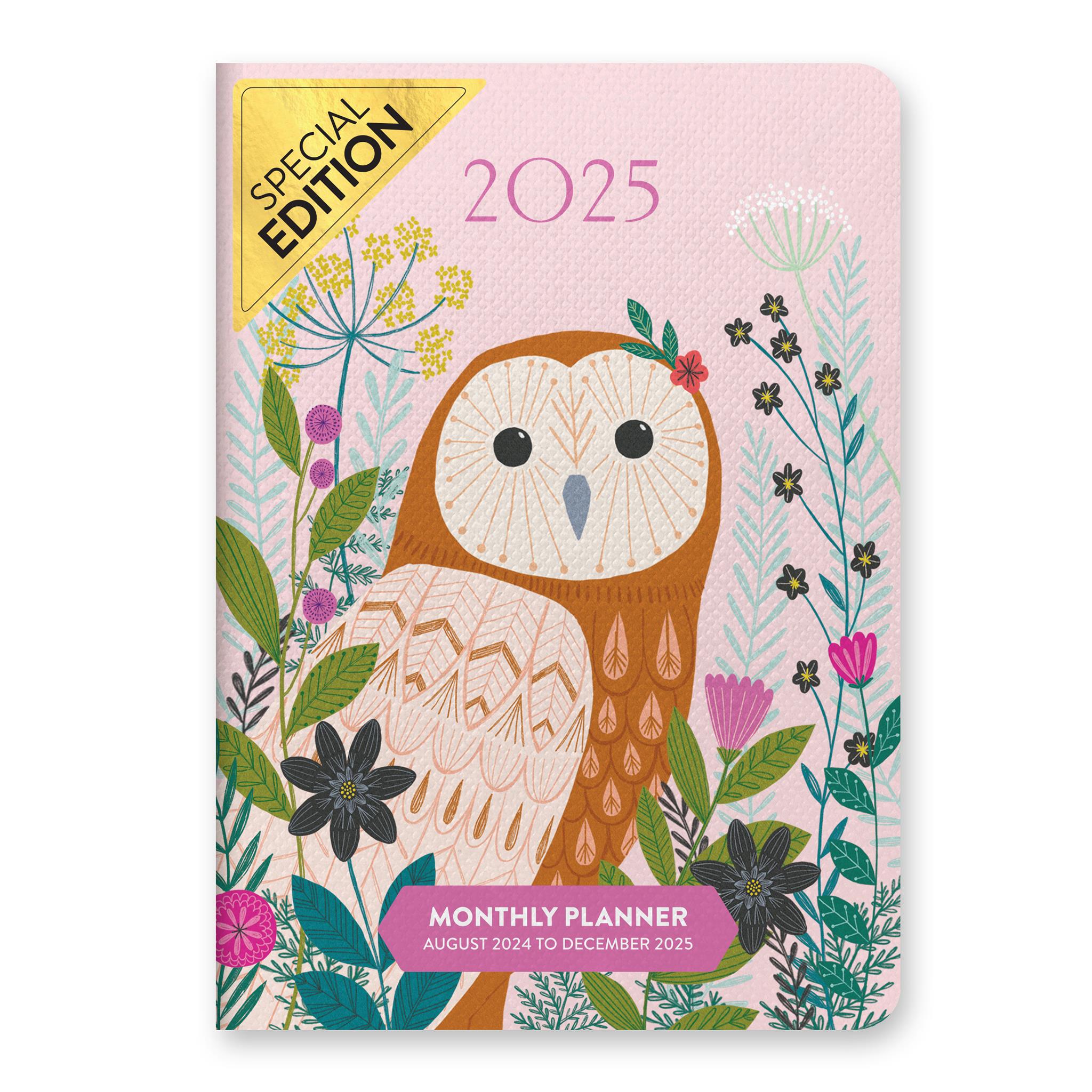 Disney Pocket Pop 2025 Advent Calendar Limited Edition Raye Carlina Shop Pocket Calendar 2025