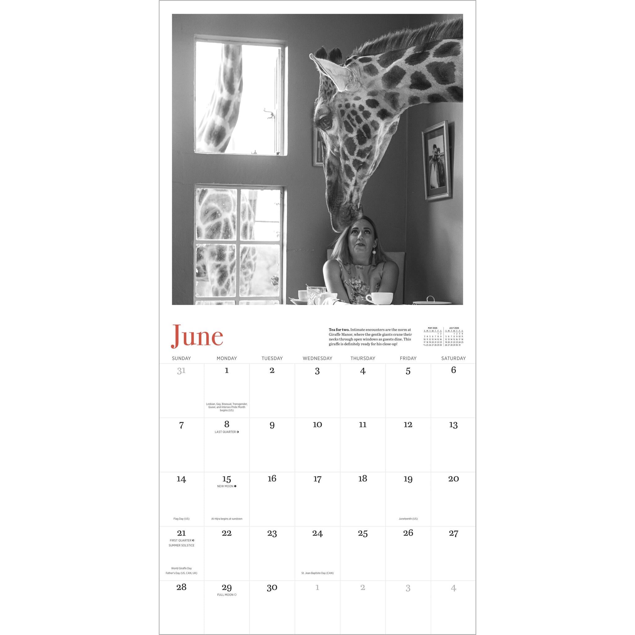 Giraffe Manor 2026 Wall Calendar - Online Only