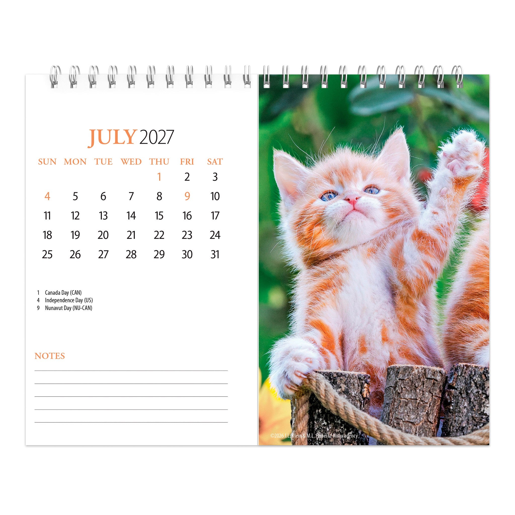 Kittens 2027 Easel Calendar