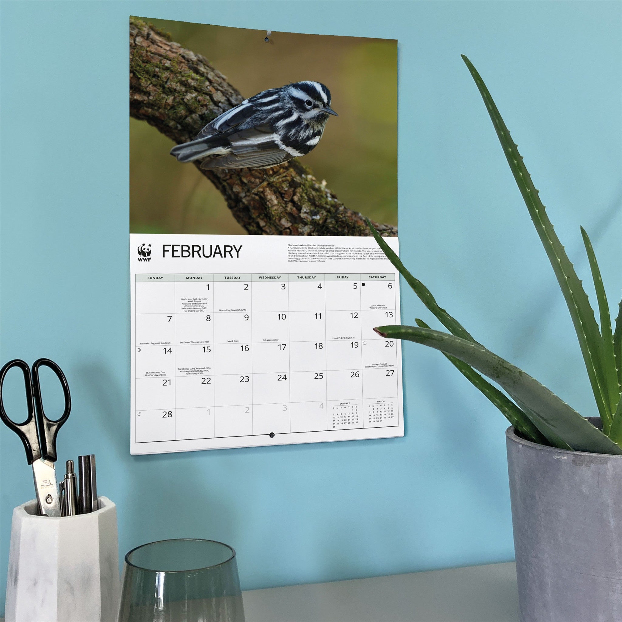 World Wildlife Fund Songbirds 2027 Wall Calendar