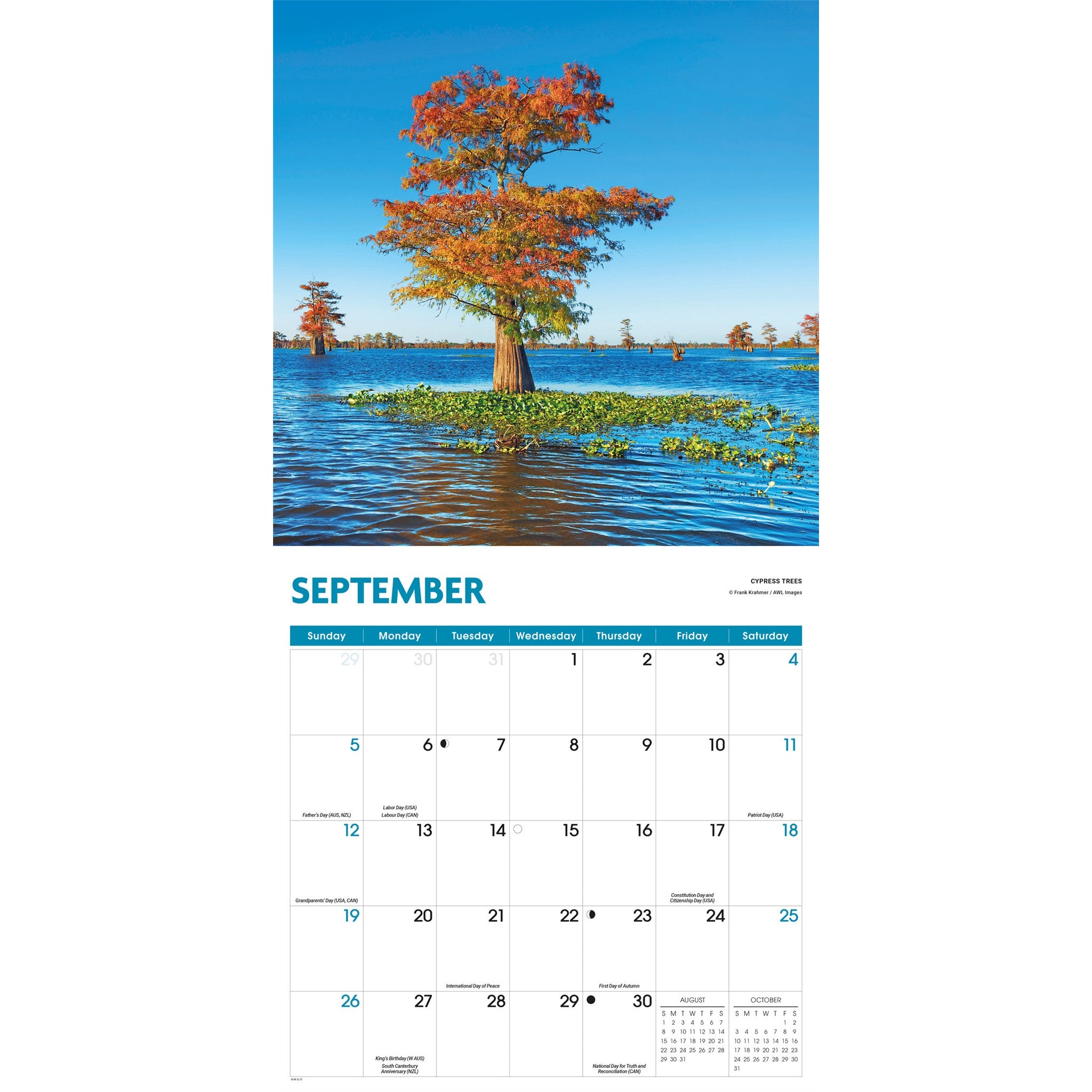 Trees 2027 Wall Calendar