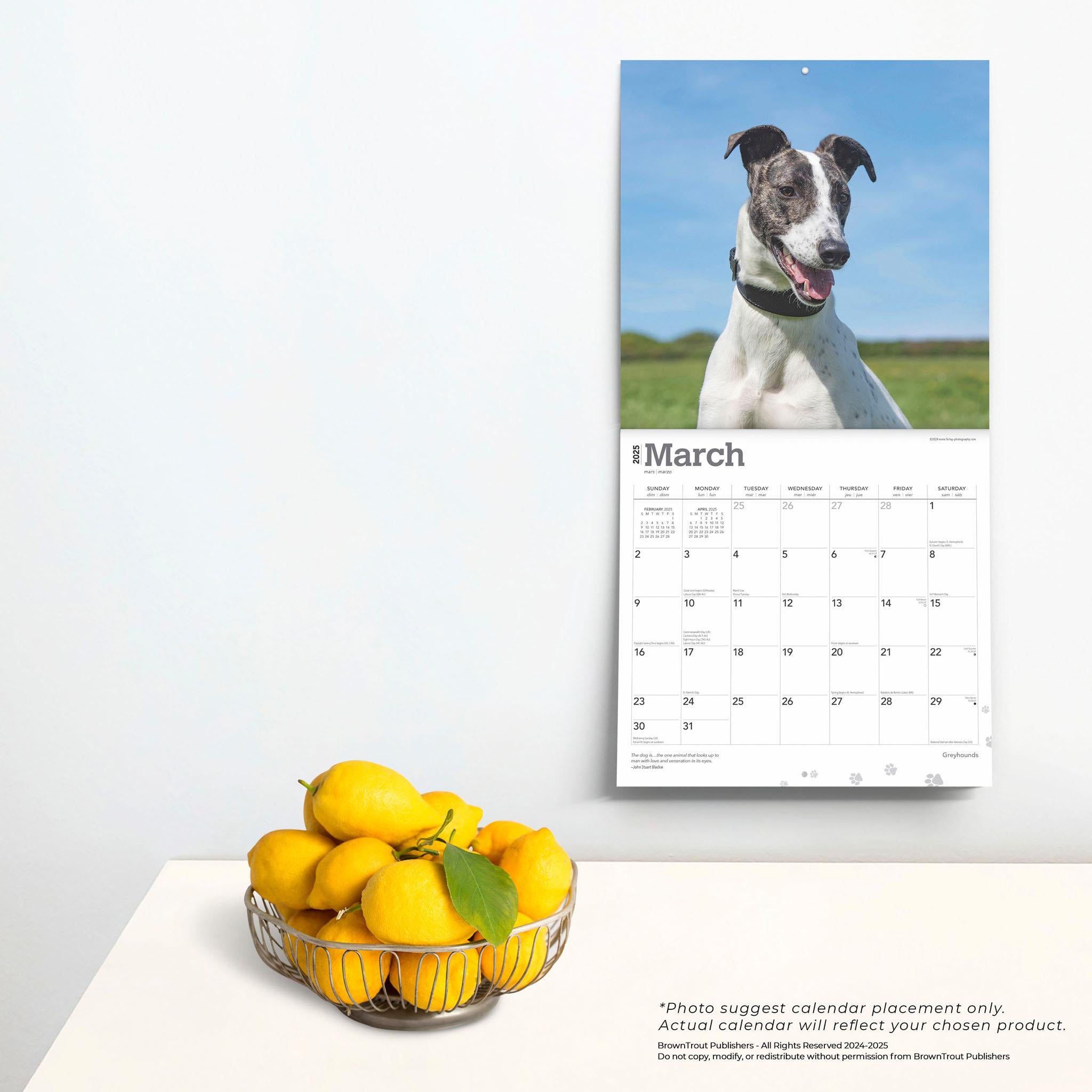 Greyhounds Wall 2025 Calendar