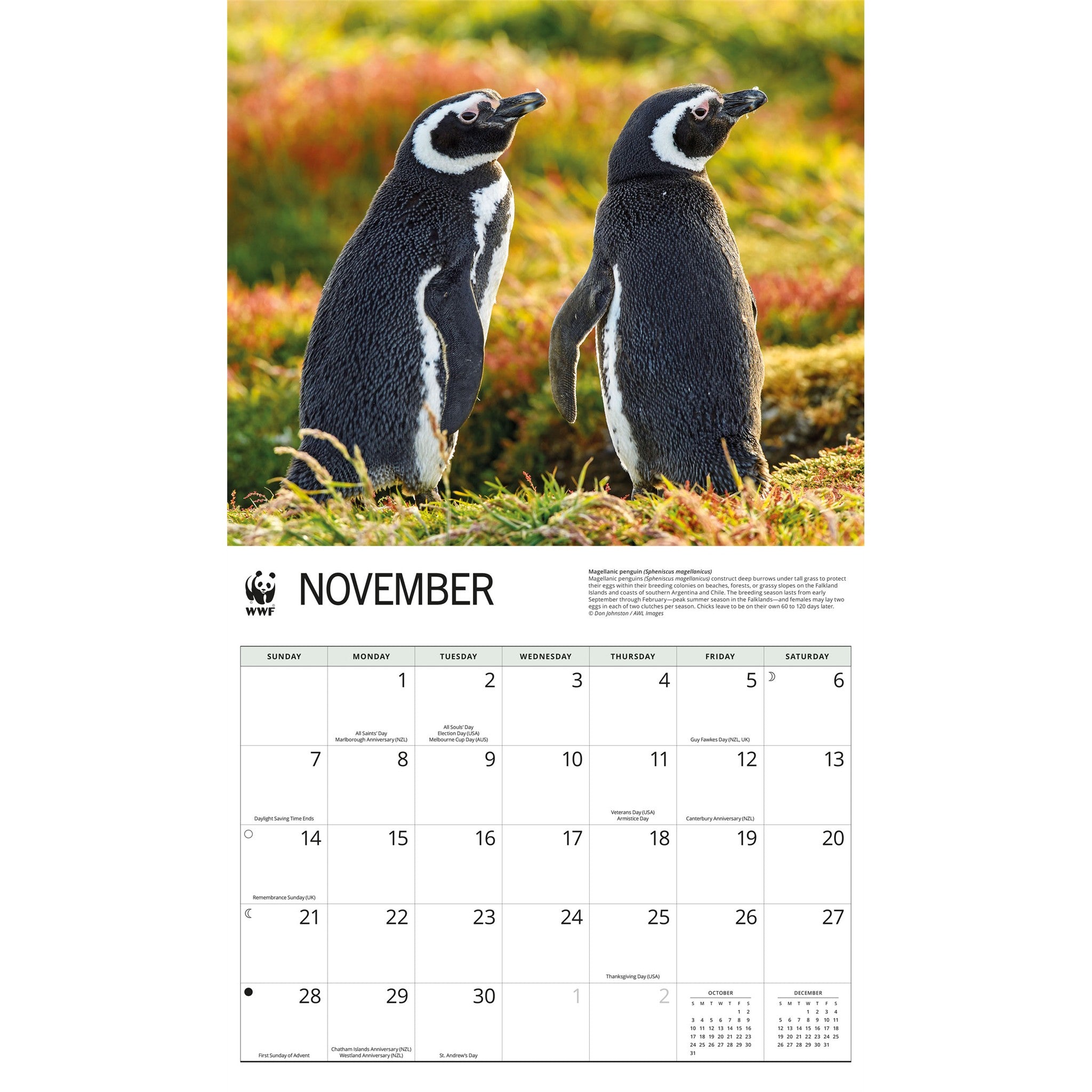 World Wildlife Fund Penguins 2027 Wall Calendar