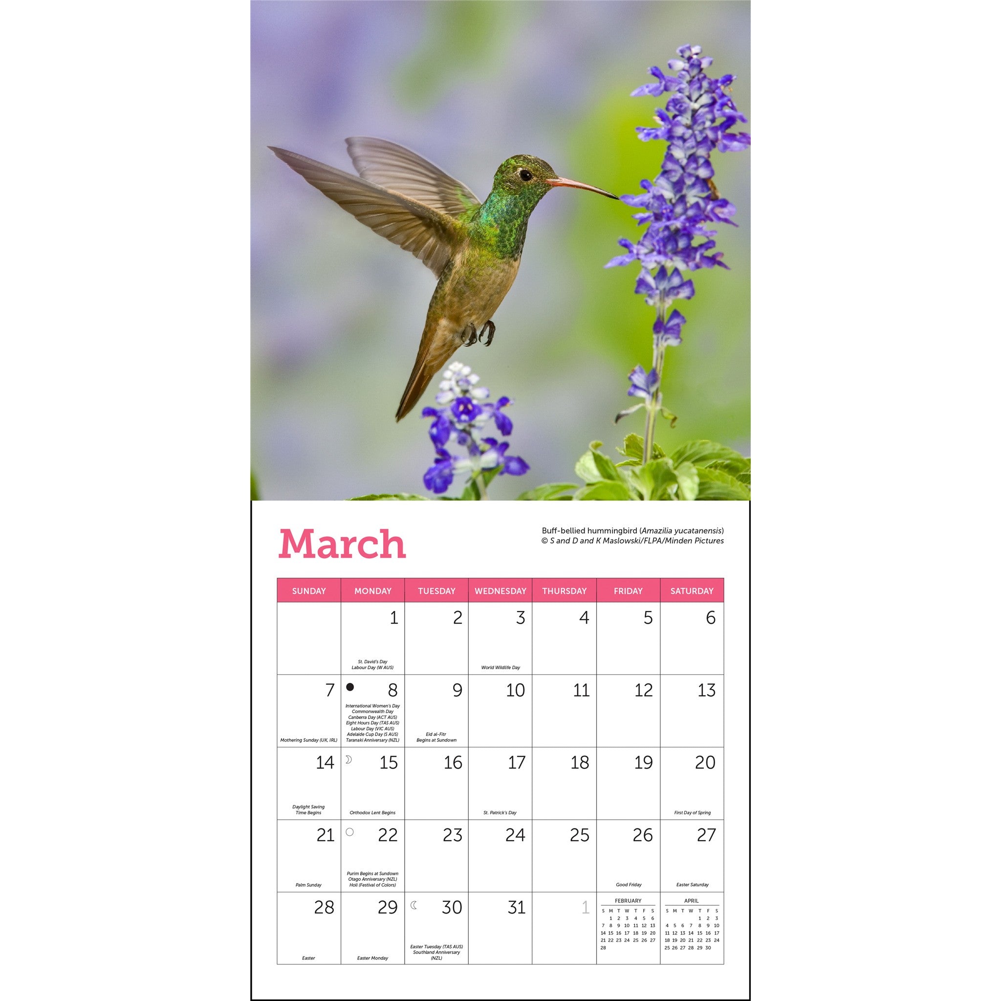 Hummingbirds 2027 Mini Calendar