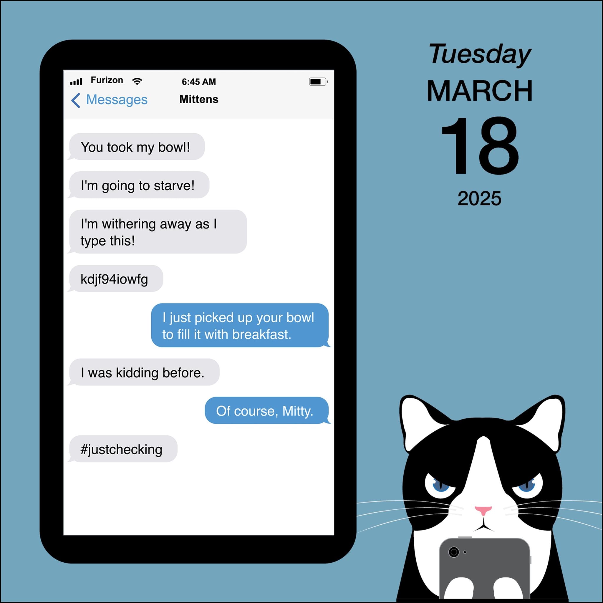 Texts From Mittens The Cat Box 2025 Calendar