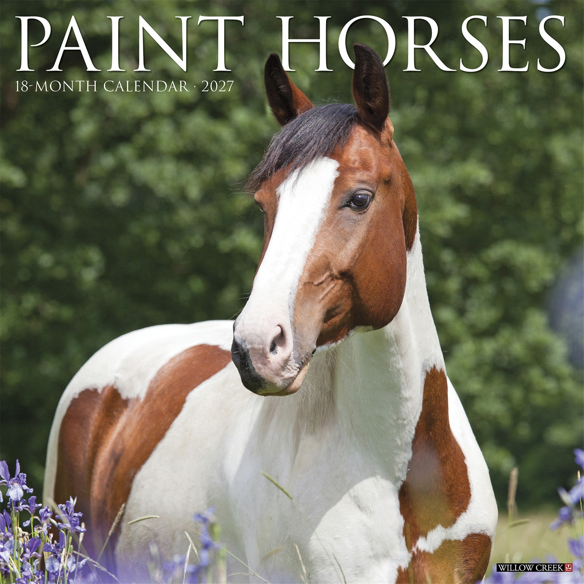 Paint Horses 2027 Wall Calendar