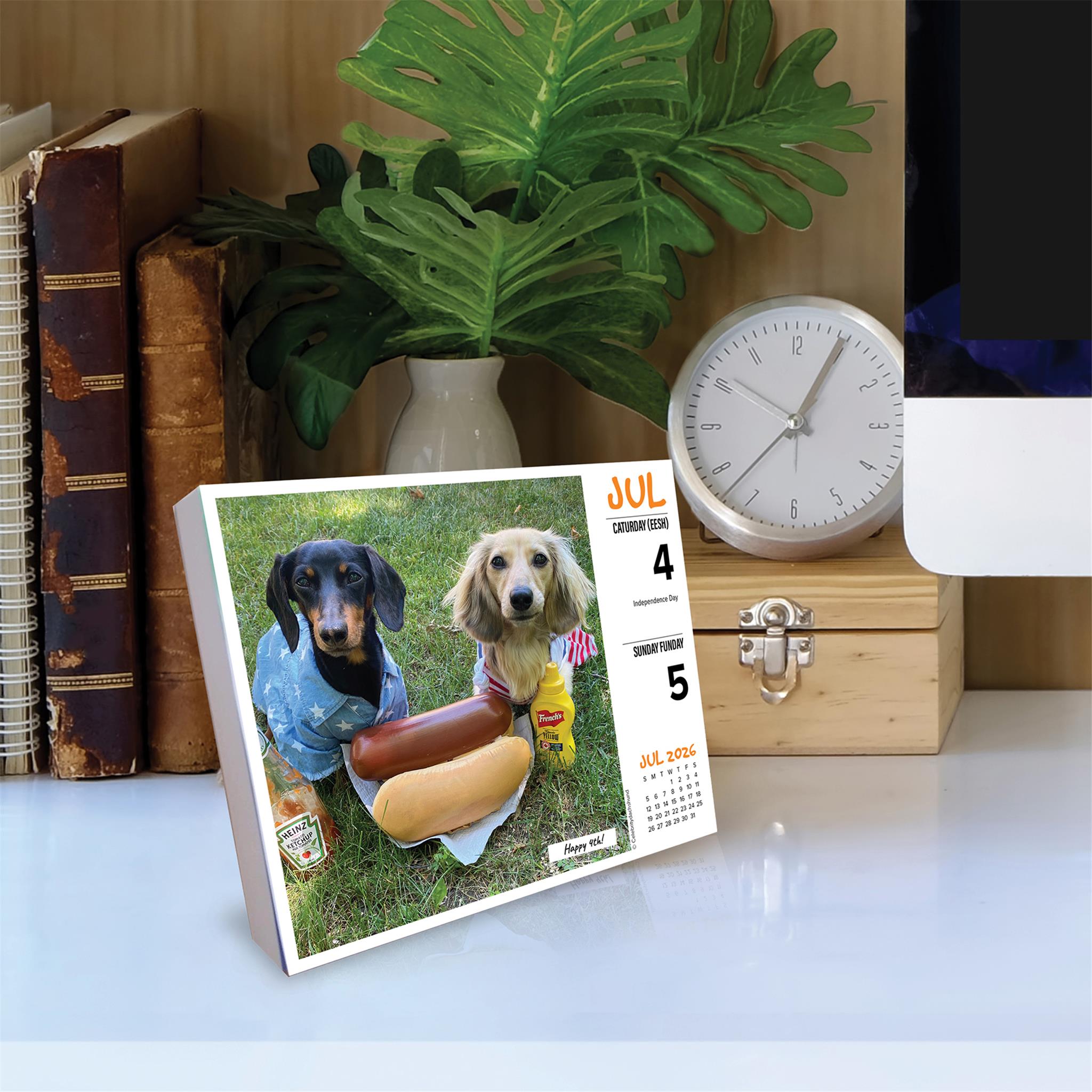 Crusoe The Celebrity Dachshund 2026 Box Calendar - Online Only