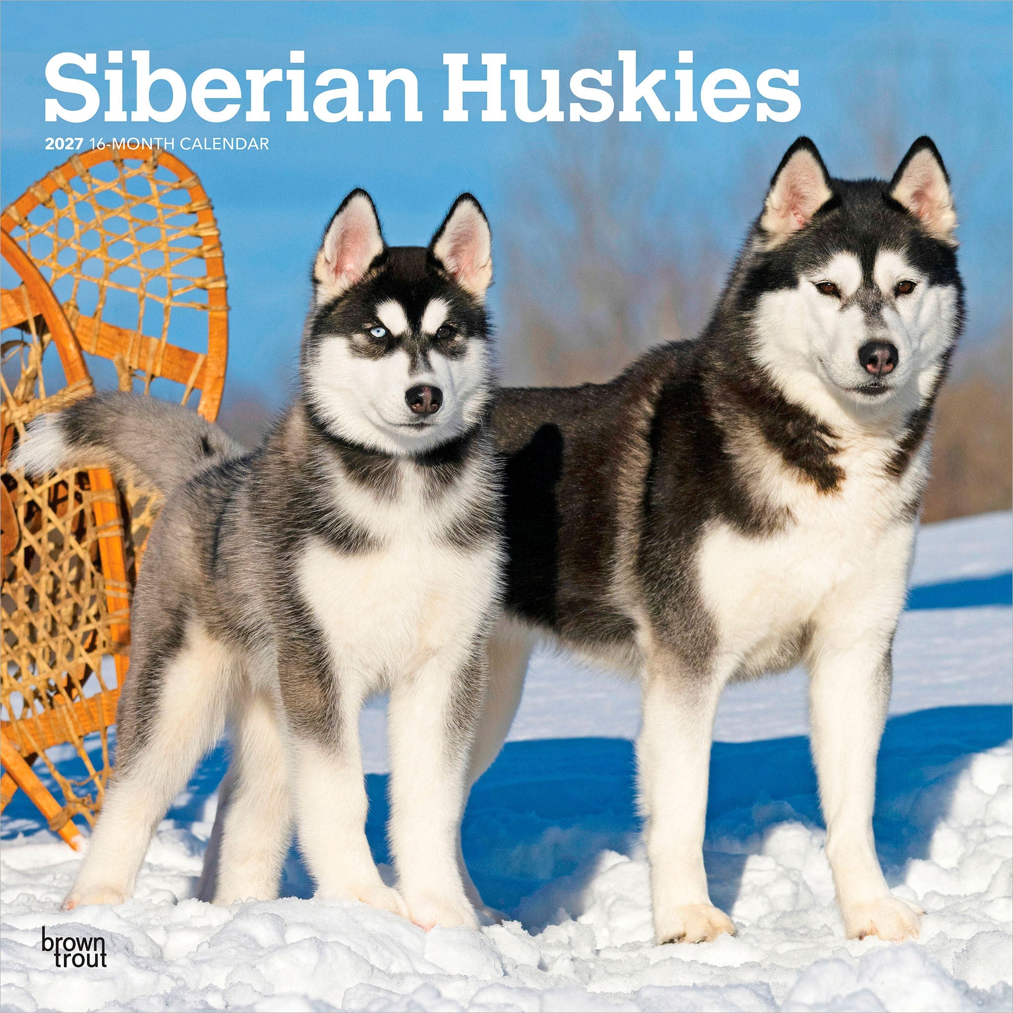 Siberian Huskies 2027 Wall Calendar