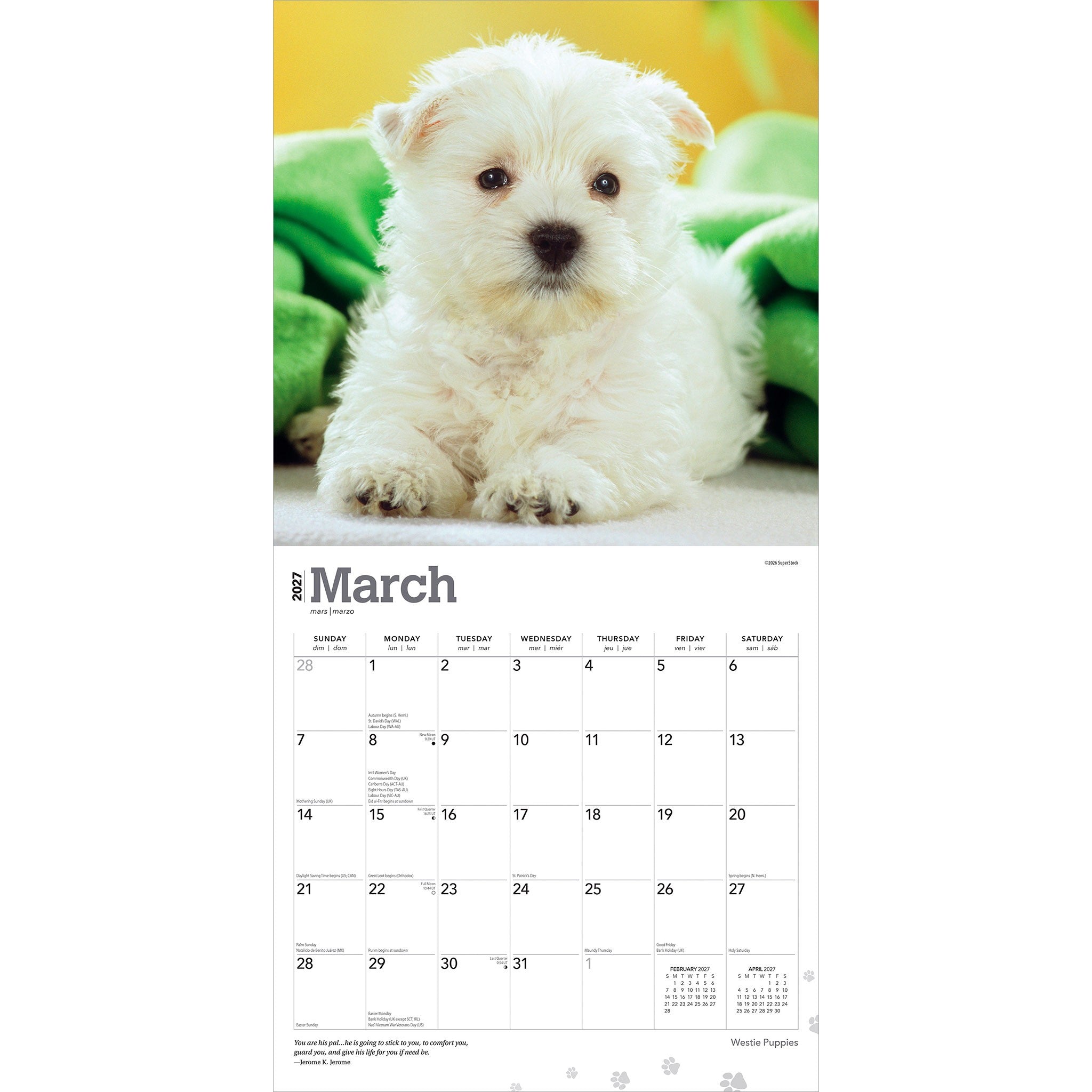 West Highland White Terrier Puppies 2027 Wall Calendar
