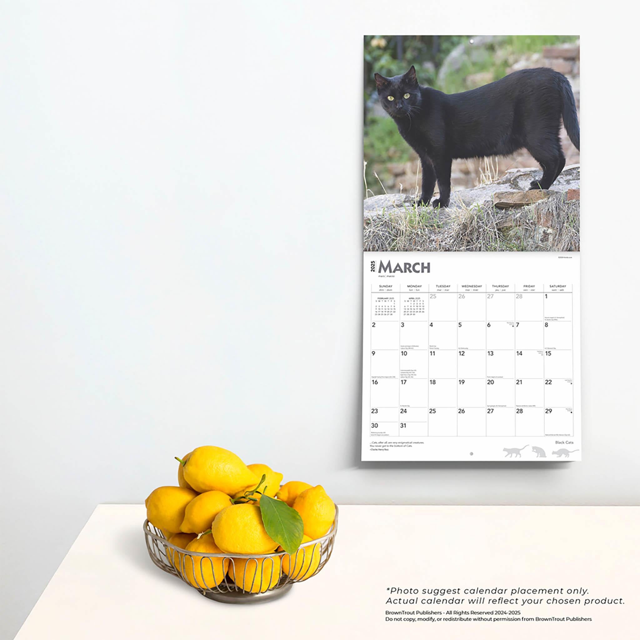 Black Cats Wall 2025 Calendar