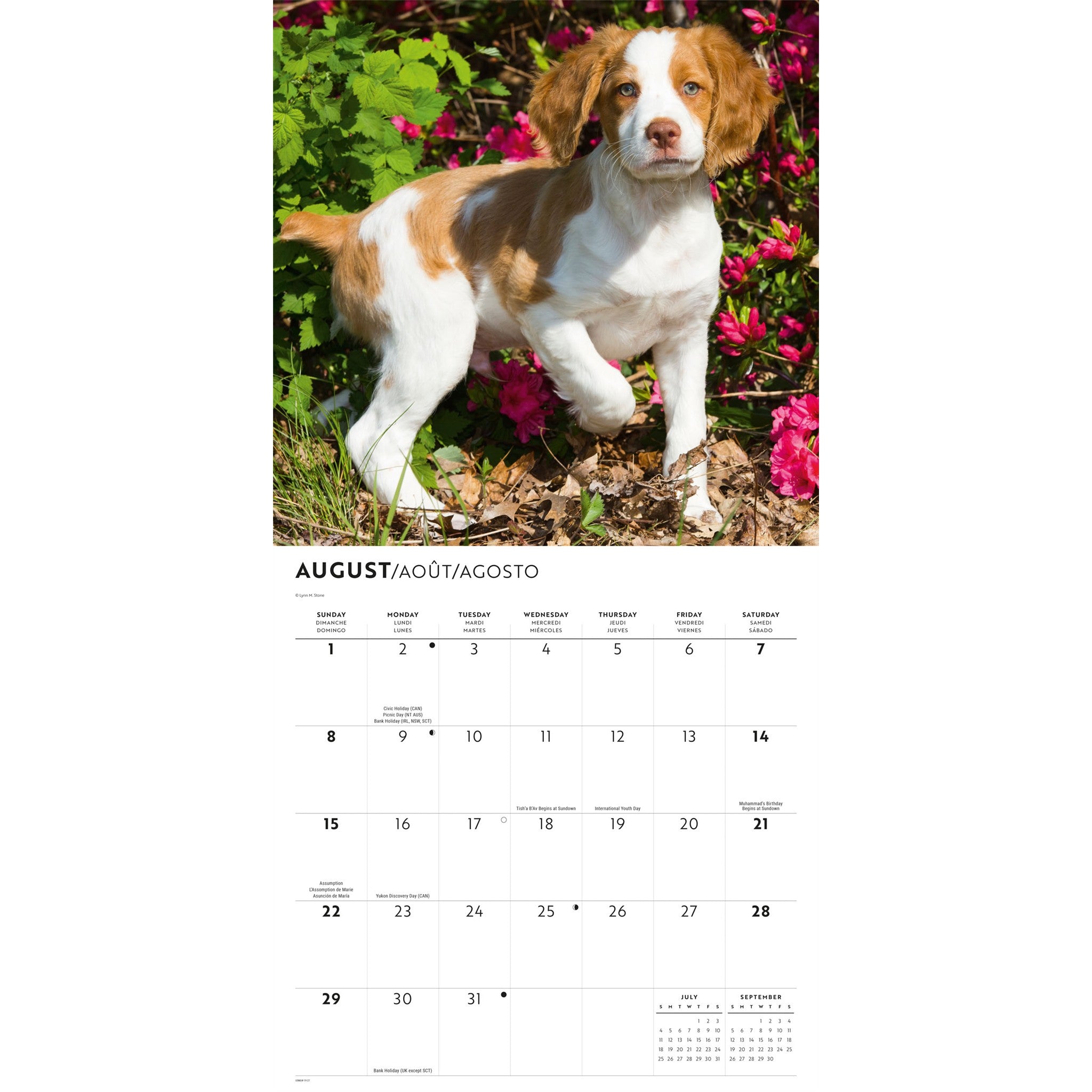 Brittanys 2027 Wall Calendar