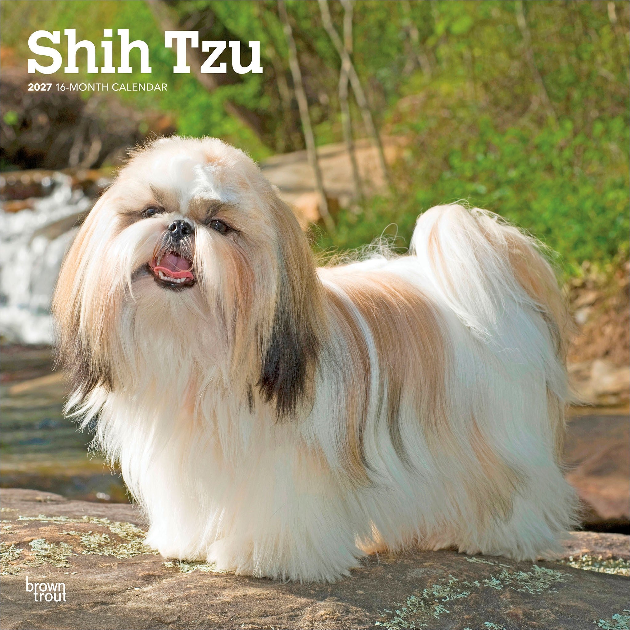 Shih Tzu 2027 Wall Calendar