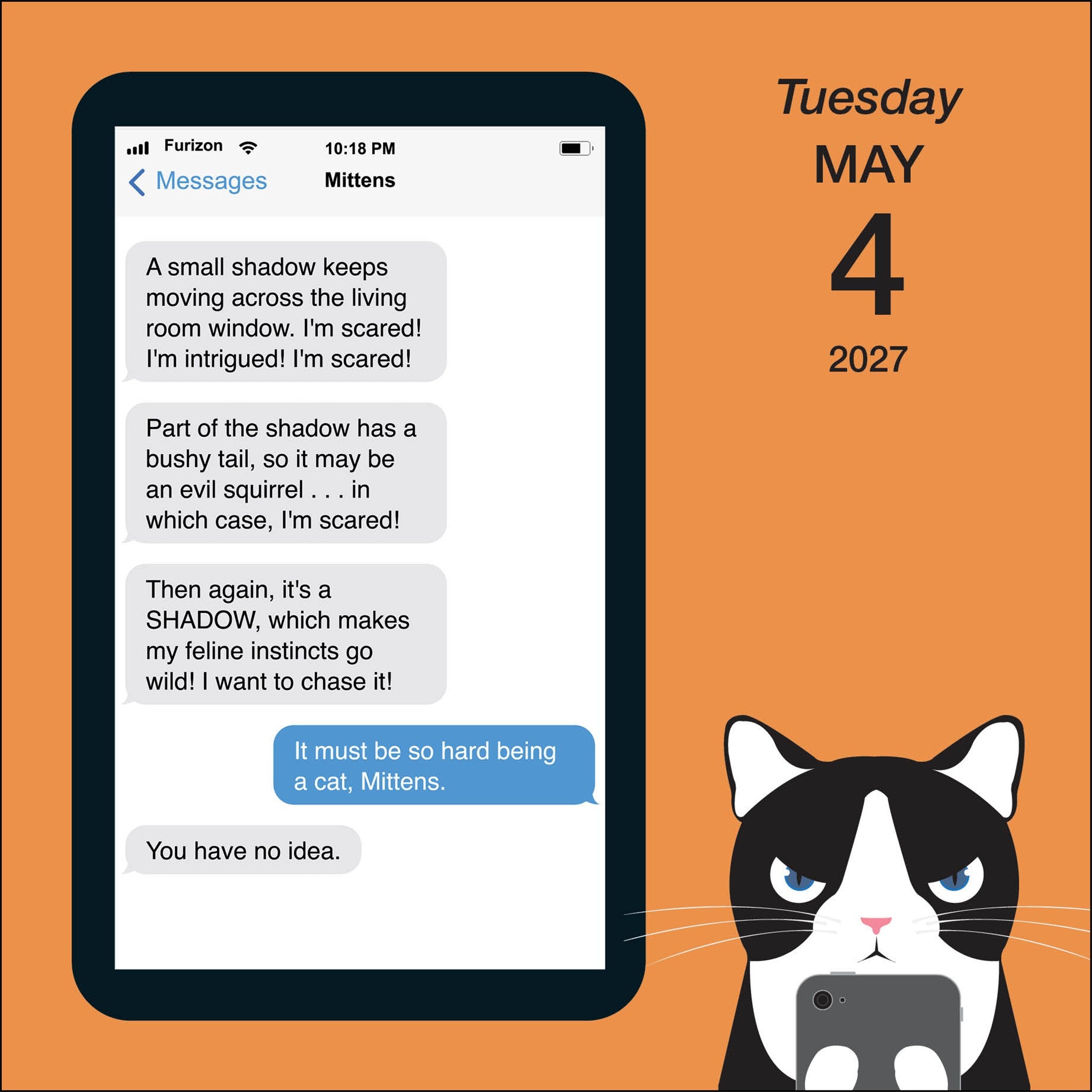 Texts from Mittens the Cat 2027 Box Calendar
