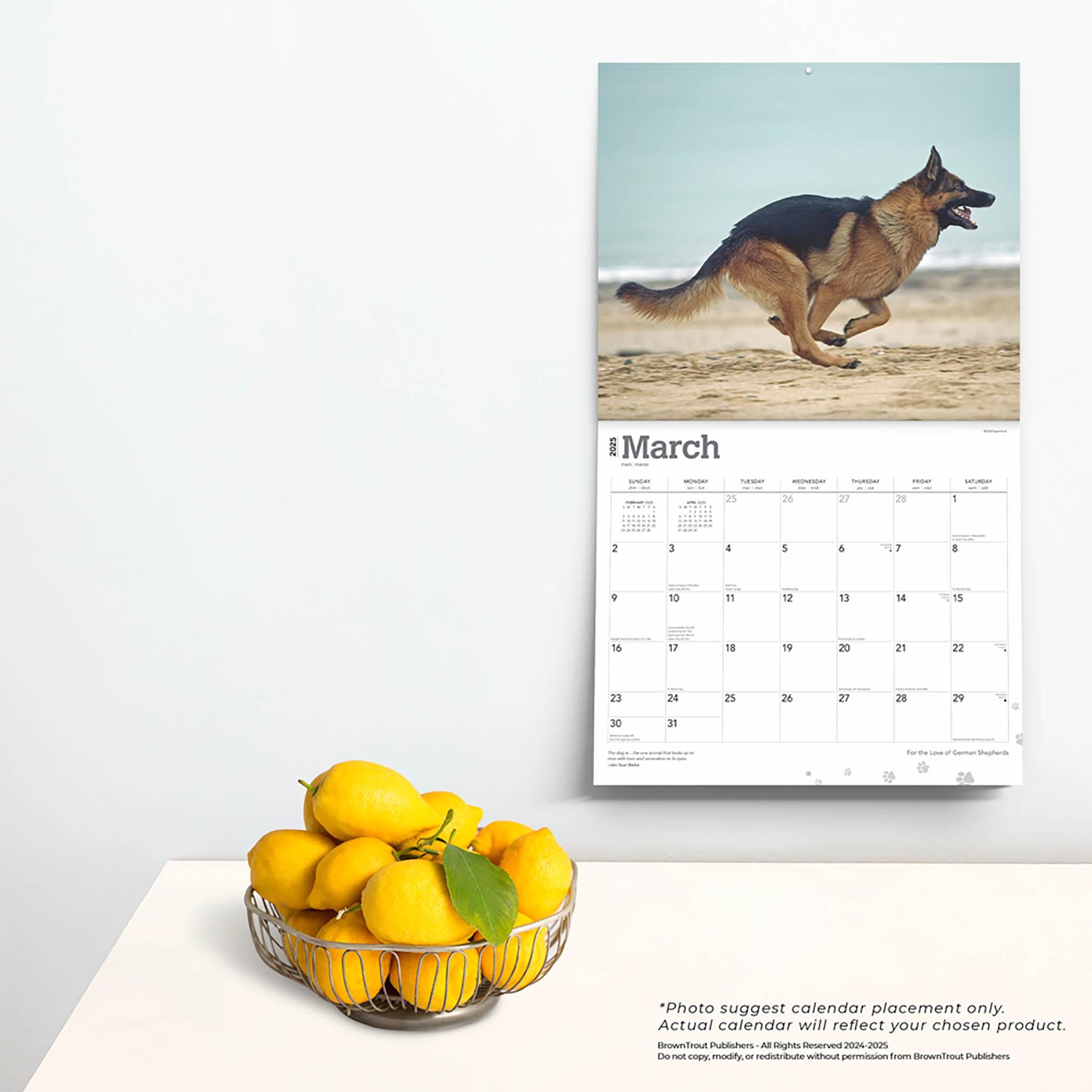 For The Love Of German Shepherds Deluxe Wall 2025 Calendar