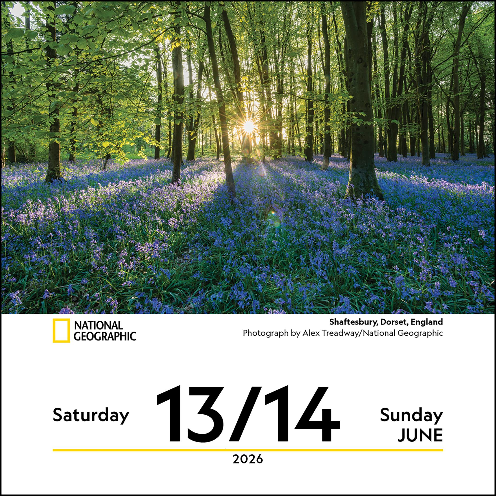 National Geographic Nature 2026 Box Calendar - Online Only